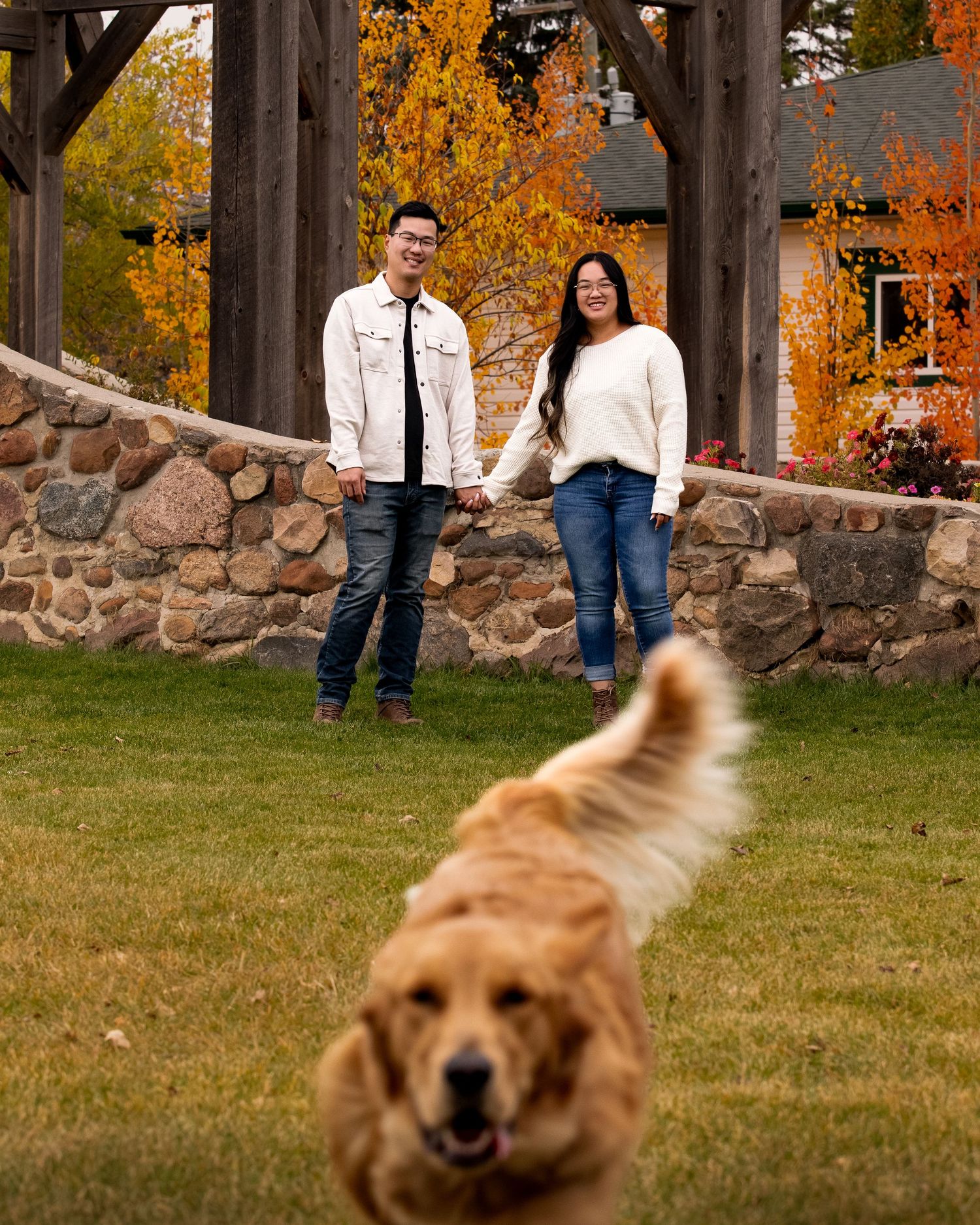 Golden retriever photobombs autumn portrait session by running into foreground with a stonewall, a couple, and fall foliage in background.
