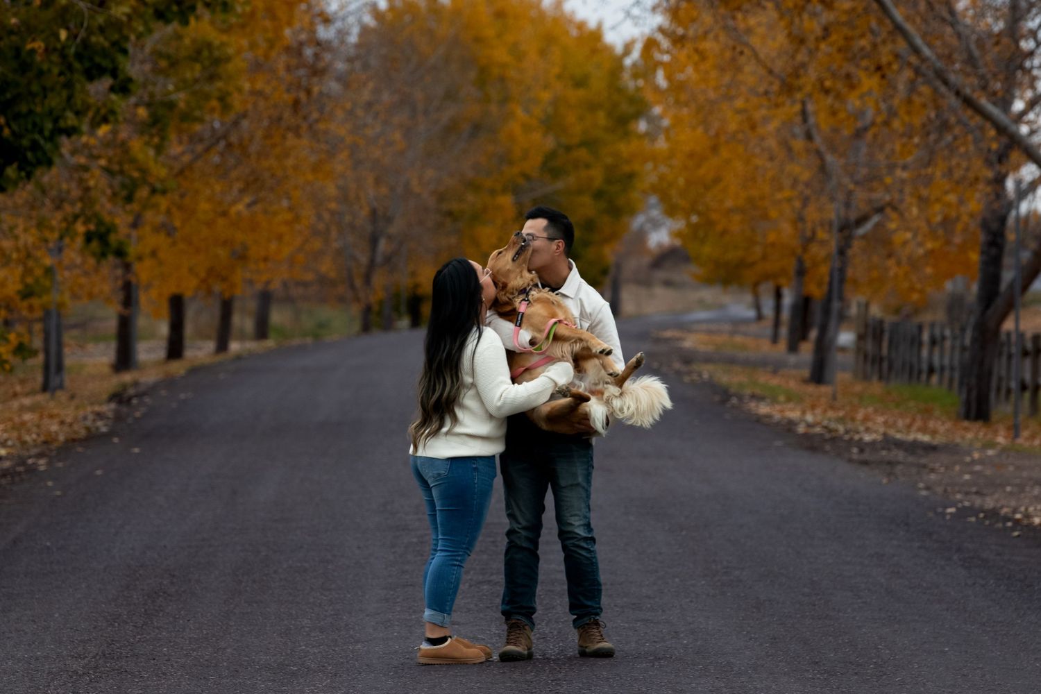 A couple stands embracing on a rural road lined with golden autumn trees on a fall afternoon.