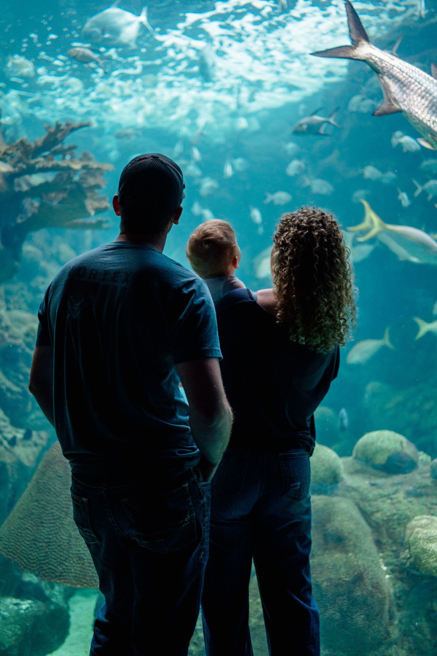 Family of three viewing colorful fish and marine life at a large aquarium tank exhibit.