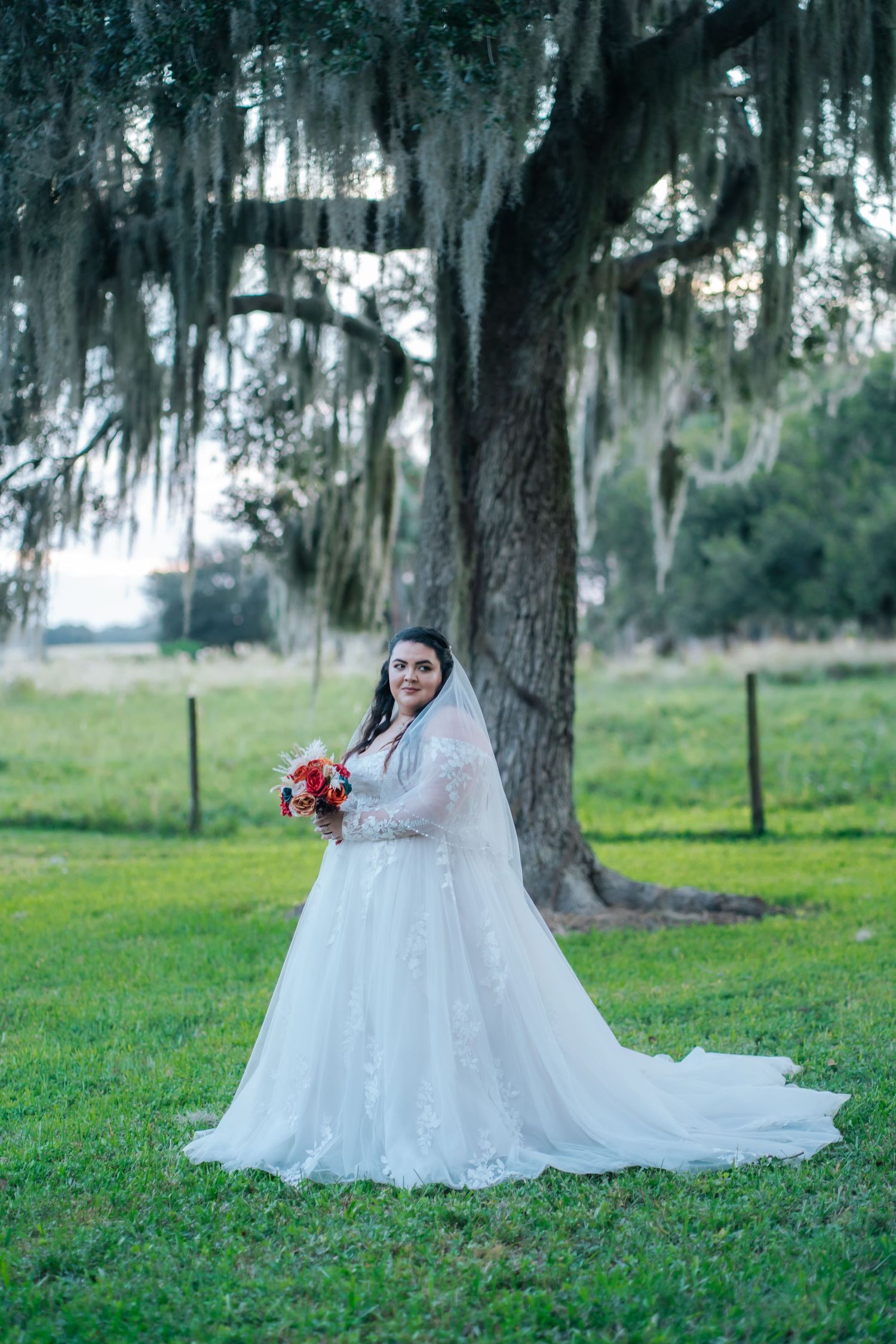White wedding gown with long train flows across green grass under Spanish moss draped trees.
