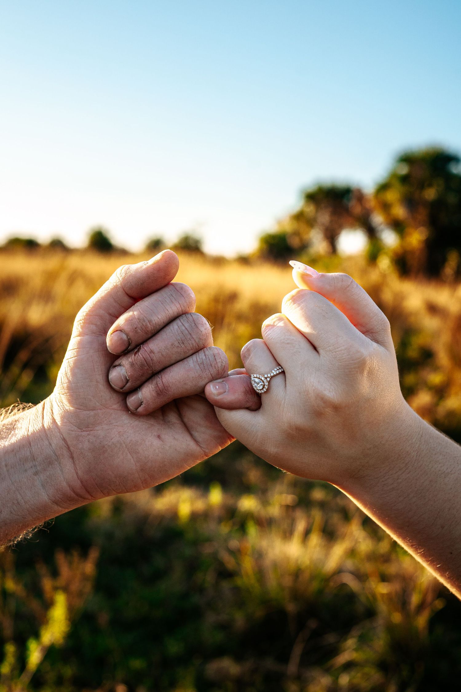 Two hands linked together with an engagement ring visible, set against a golden field at sunset.