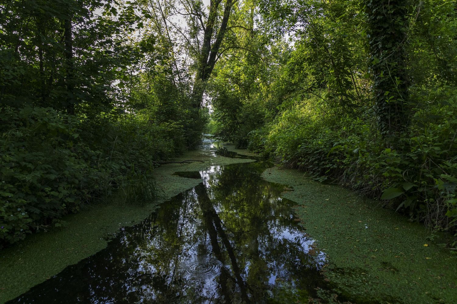 Photographe de mariage, portrait, évènements et paysage à Béthune Arras, Lens, Lille, Dunkerque, Calais - Bruno MERESSE Photographies