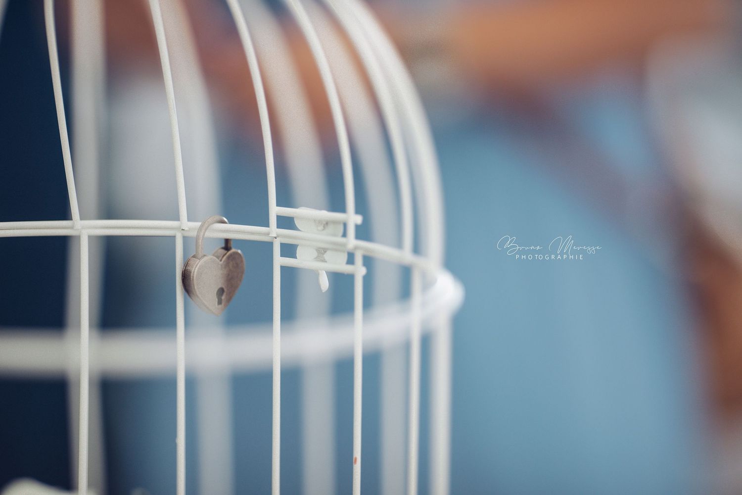 Photographe de mariage, portrait, évènements, immobilier à Béthune, Arras, Lens, Lille, Dunkerque, Calais - Bruno MERESSE Photographies
