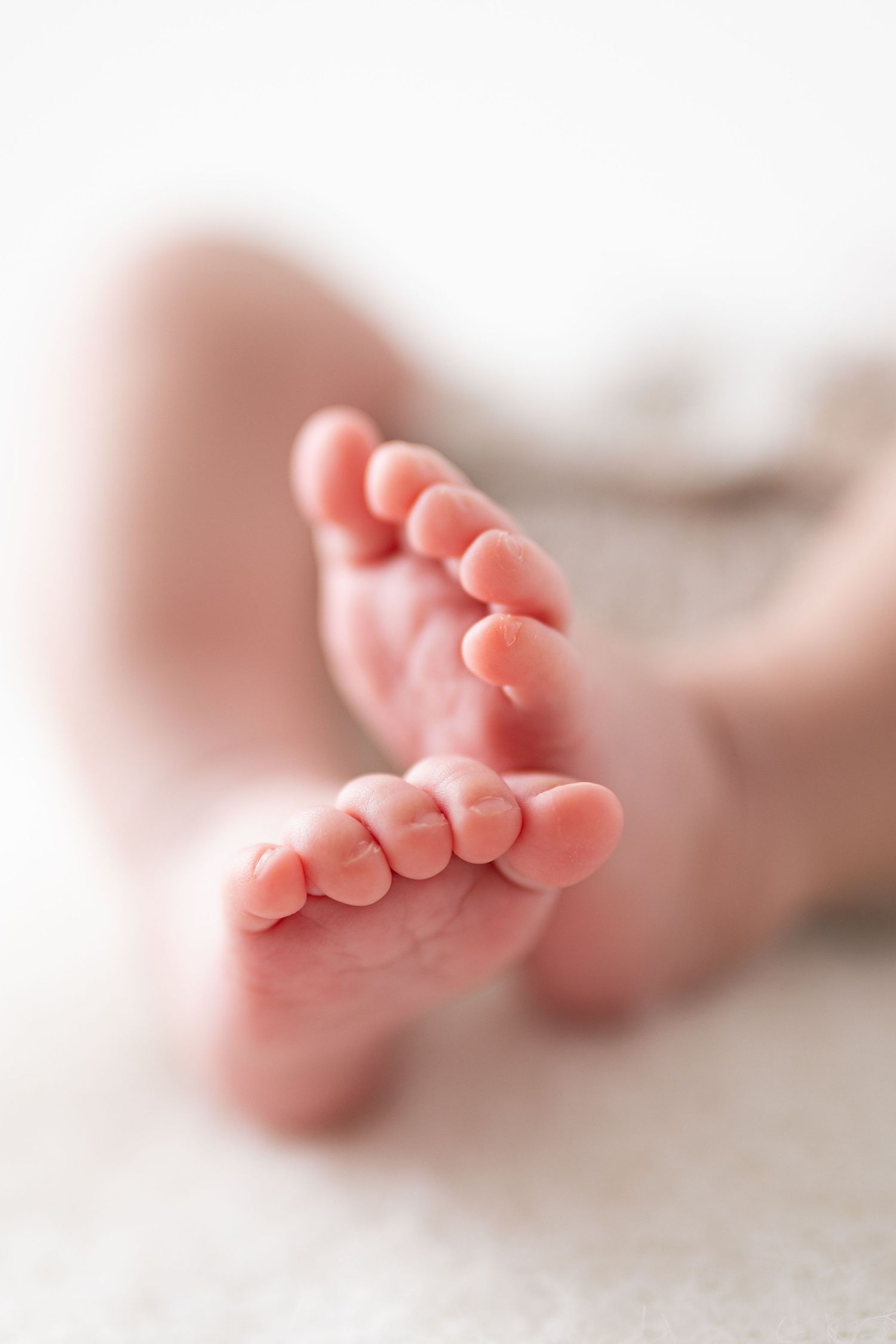 Newborn Photography in Welwyn Garden City, Hertfordshire.