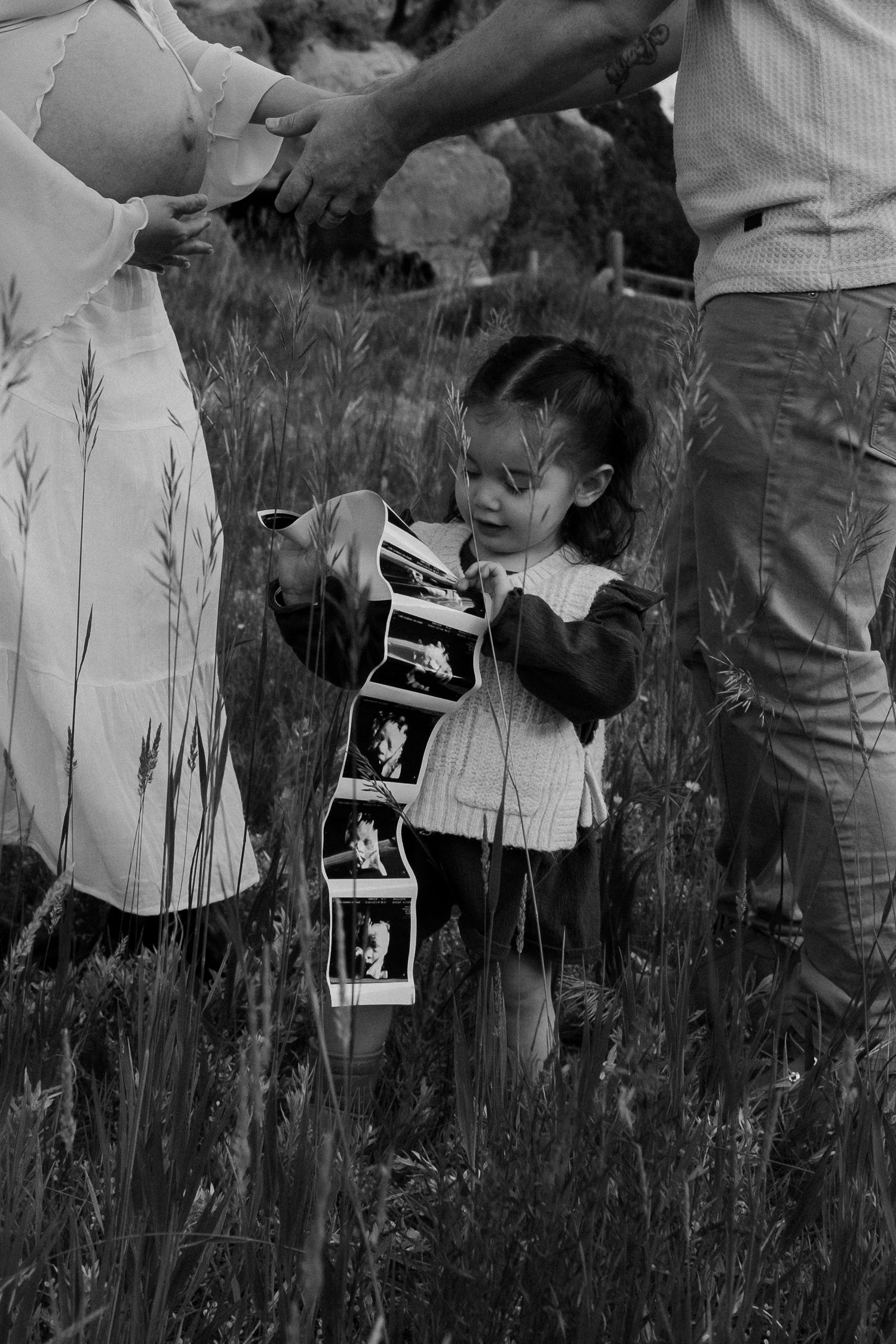 A black and white photograph showing ultrasound images being held in a grassy field.