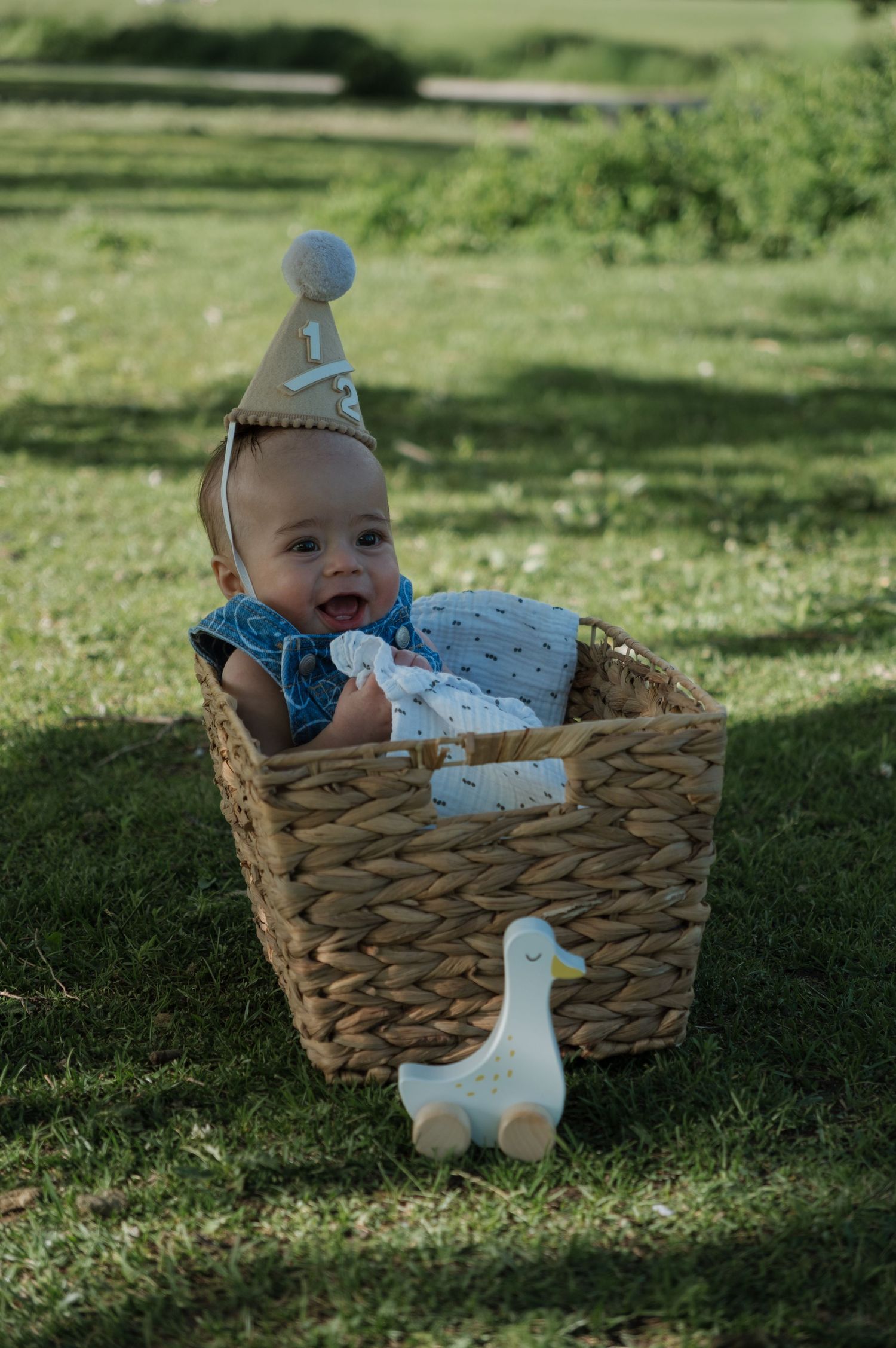 Smiling baby in a wicker basket wearing a birthday hat outdoors, with a wooden duck toy on green grass.