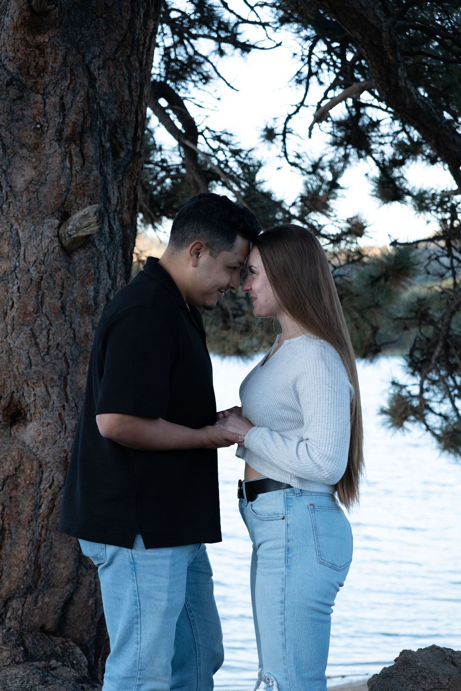 Couple sharing a romantic moment touching foreheads under a pine tree by a lake, wearing casual jeans and sweaters.