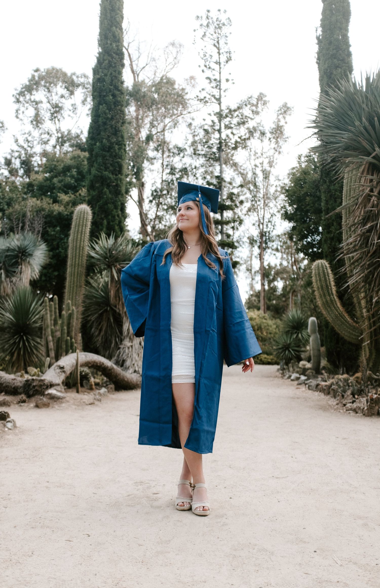 Graduate in blue cap and gown walking through desert garden with cacti.