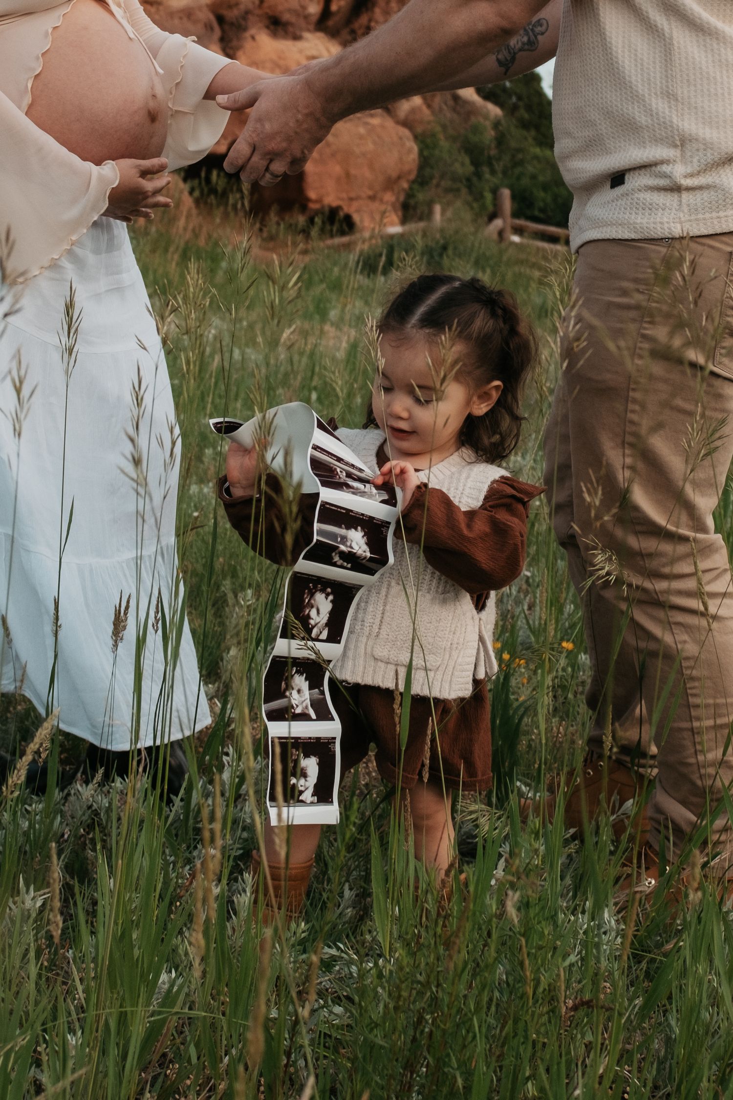 A pregnancy announcement photoshoot in a field shows ultrasound photos being held while standing in tall grass.