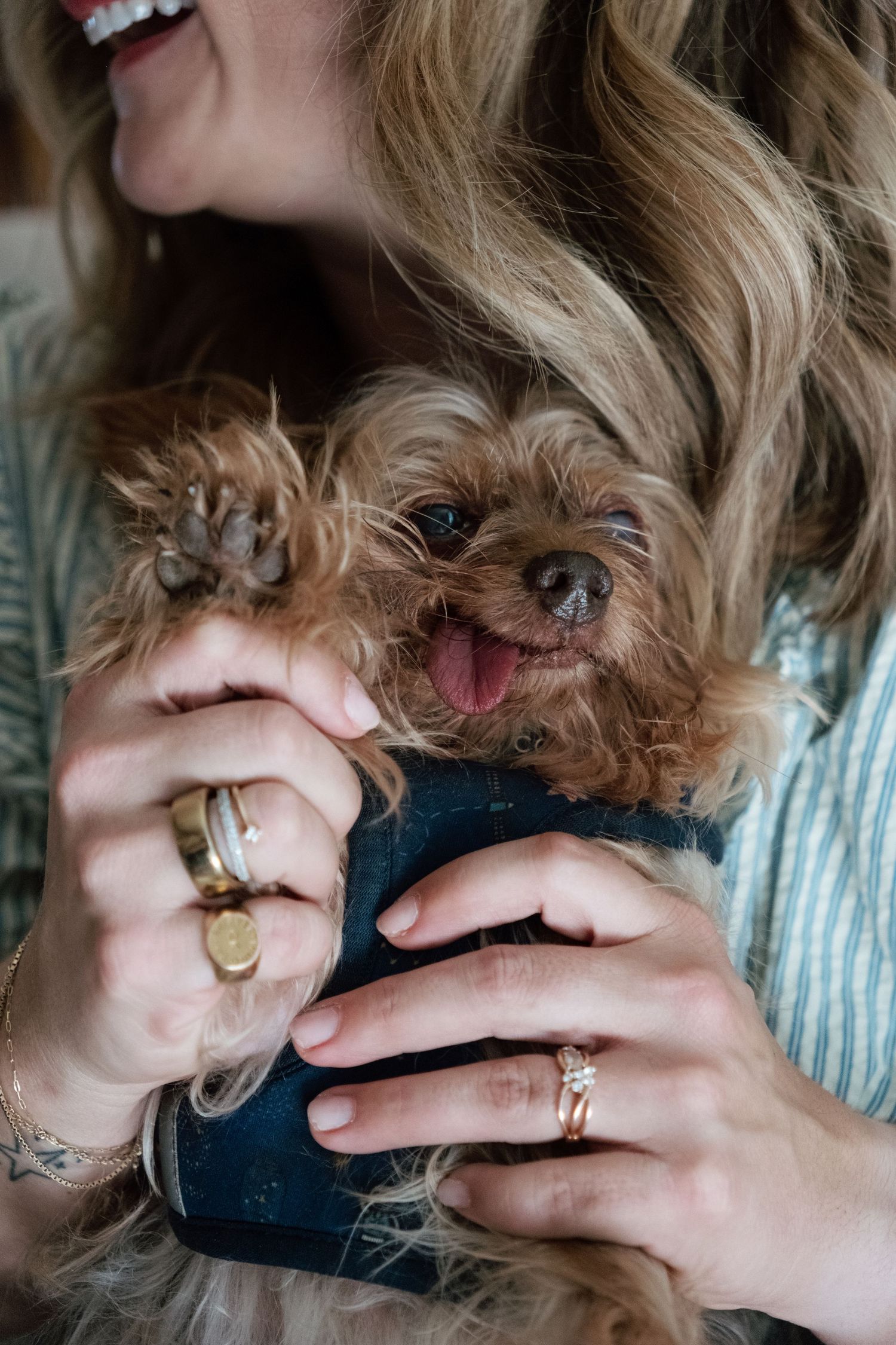 Woman with wavy blonde hair wearing several rings cradles a small Yorkshire Terrier in a denim outfit, its tongue out and paw raised.