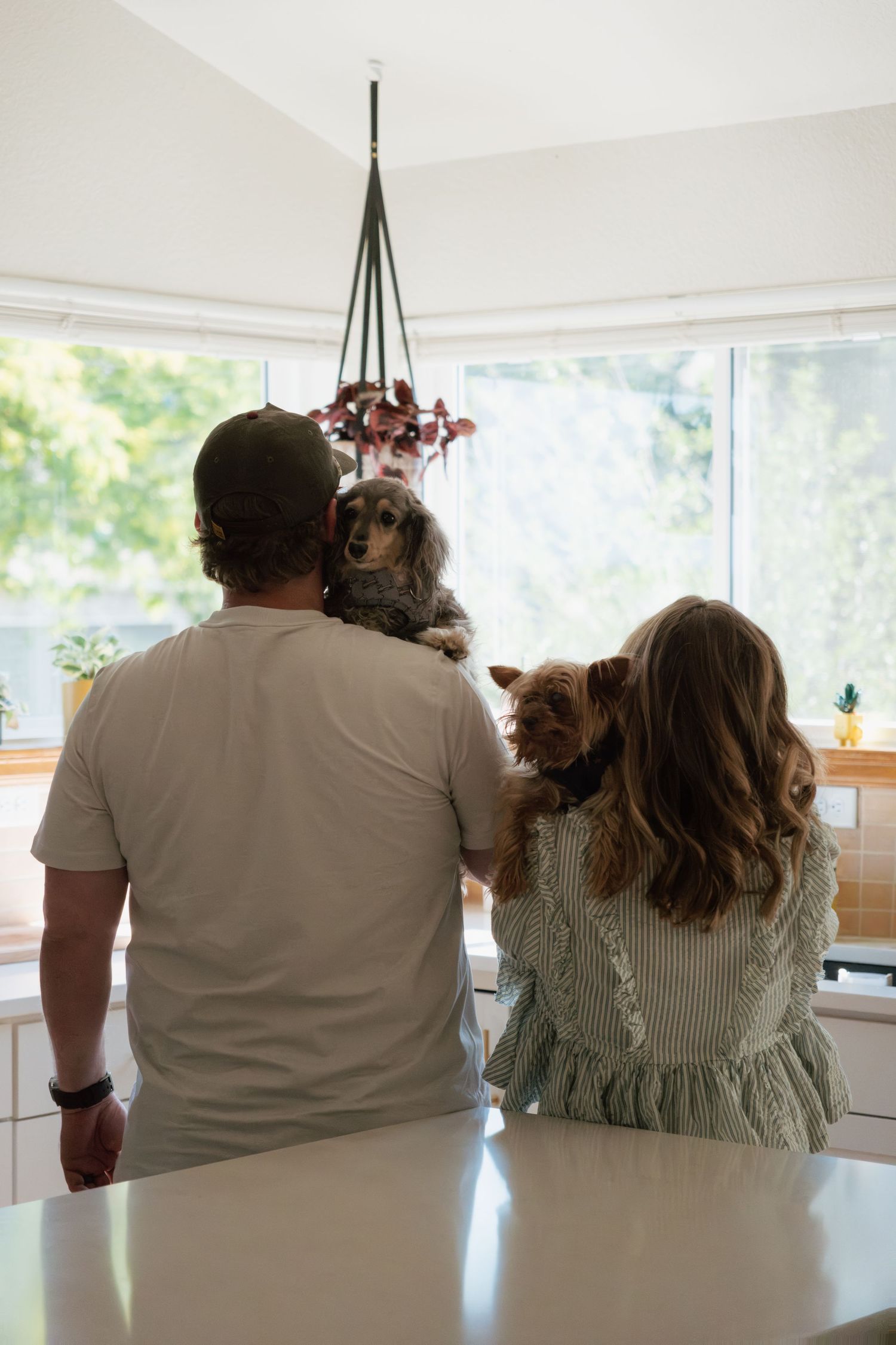Couple standing at a white kitchen counter holding two small dogs while looking out bright windows toward a hanging plant.