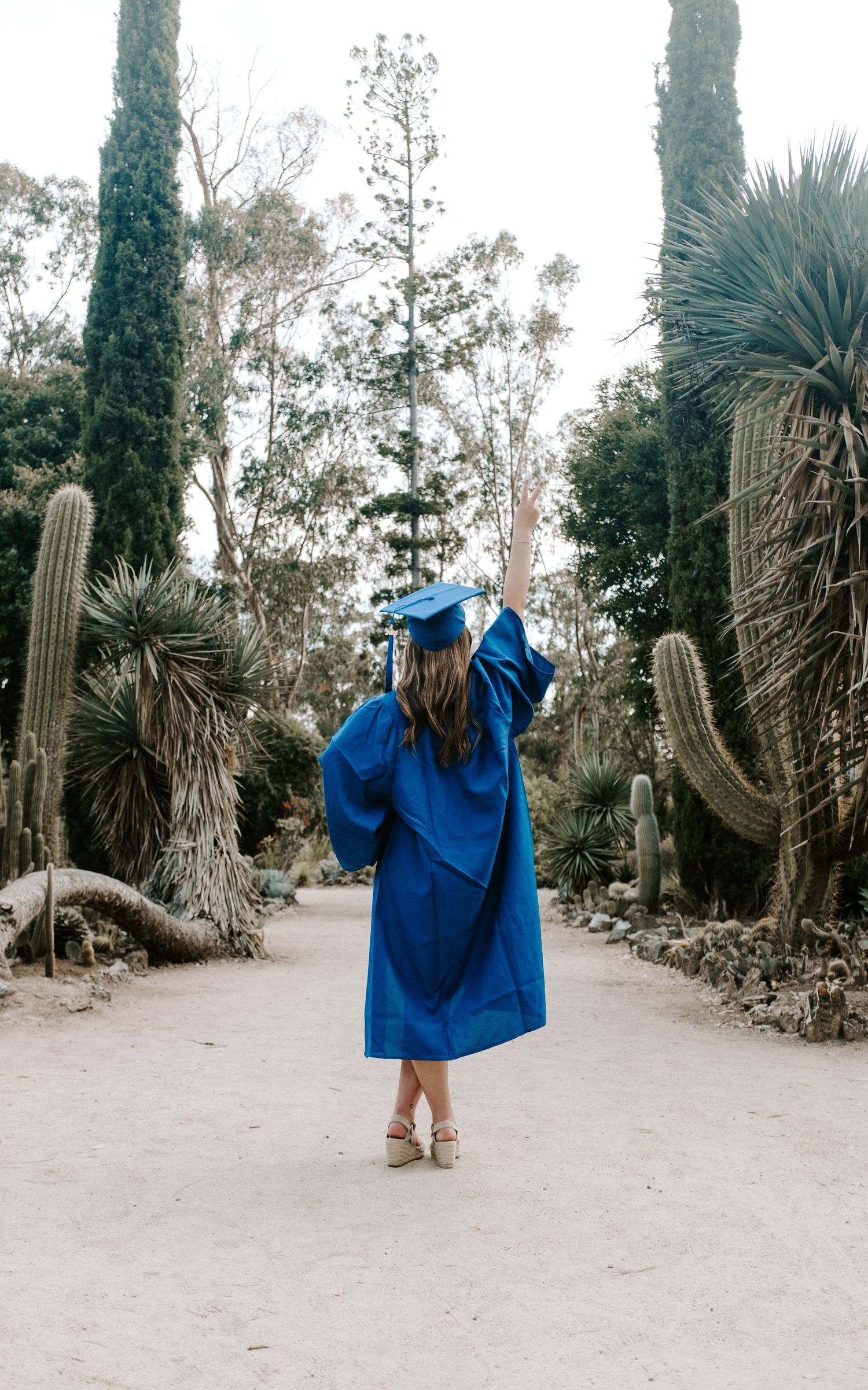 Graduate in blue cap and gown walks through a cactus garden path.