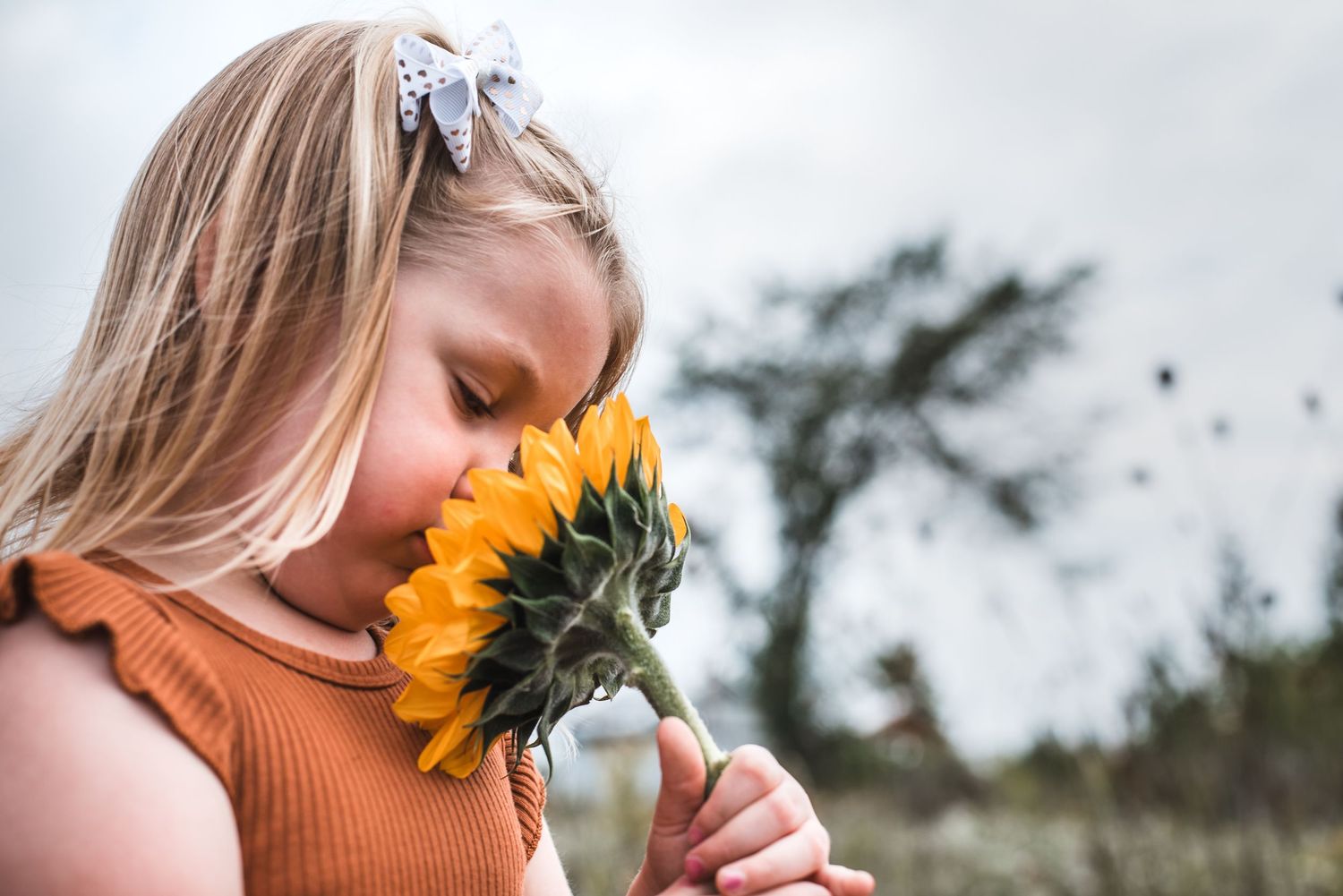 Young girl with blonde hair and butterfly clip smells a sunflower outdoors on a cloudy day.