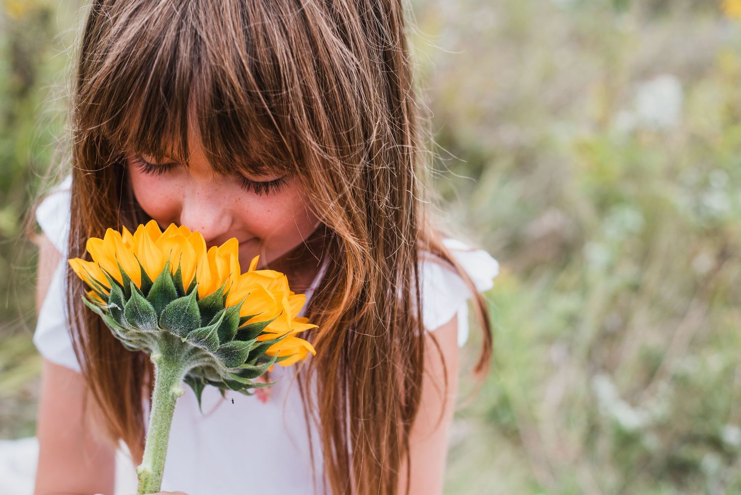 Young girl with brown hair smelling a bright yellow sunflower outdoors in a field.