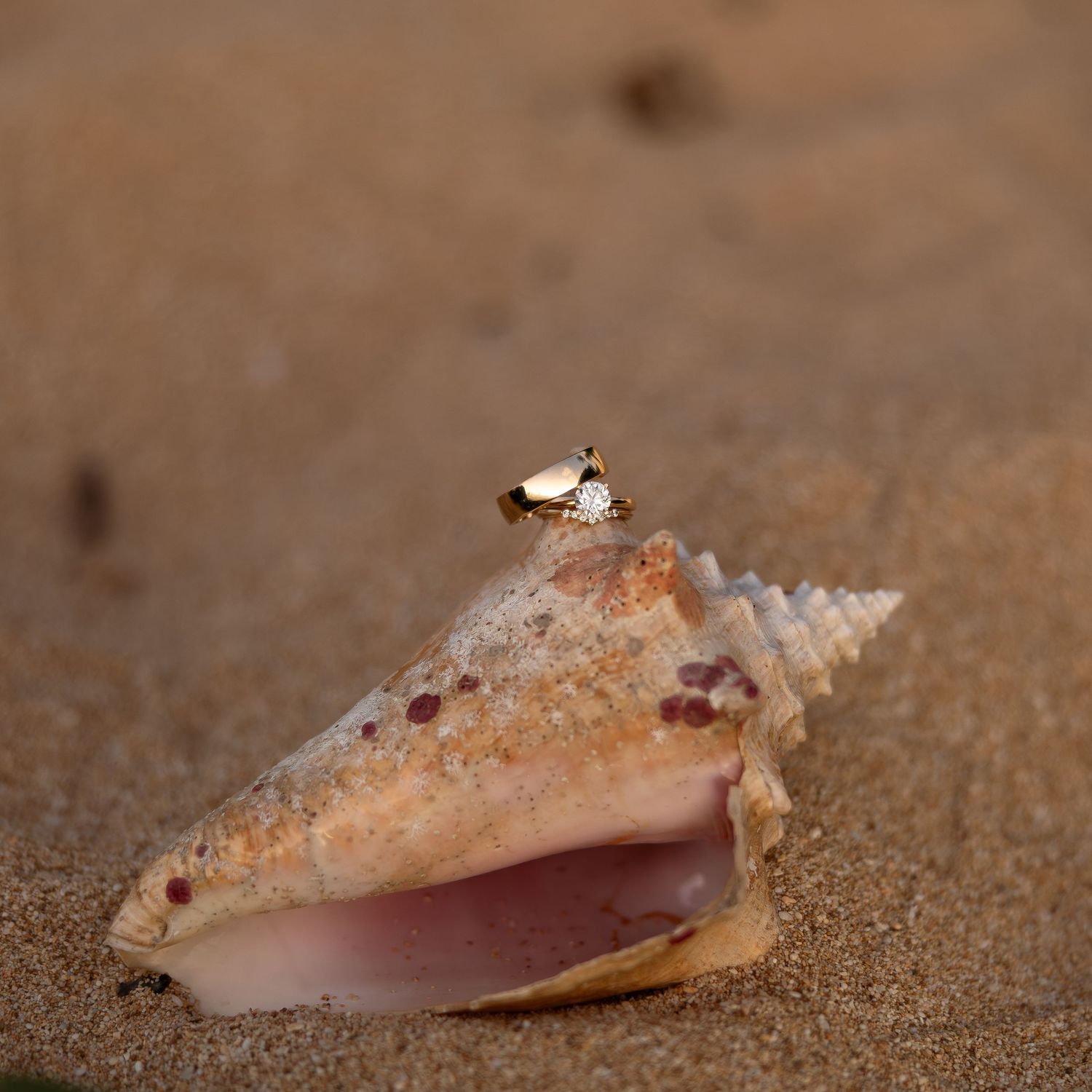 Gold diamond ring resting on a spiral seashell on sandy beach.