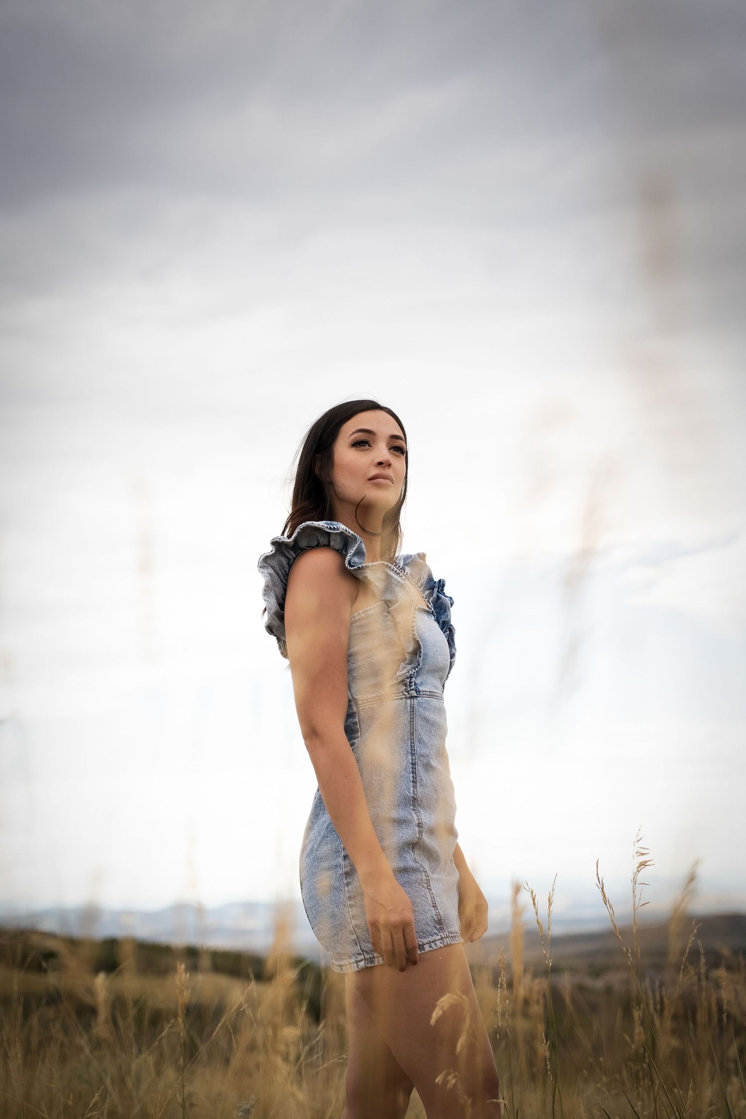 Dramatic portrait of woman in denim dress standing in field against cloudy sky.