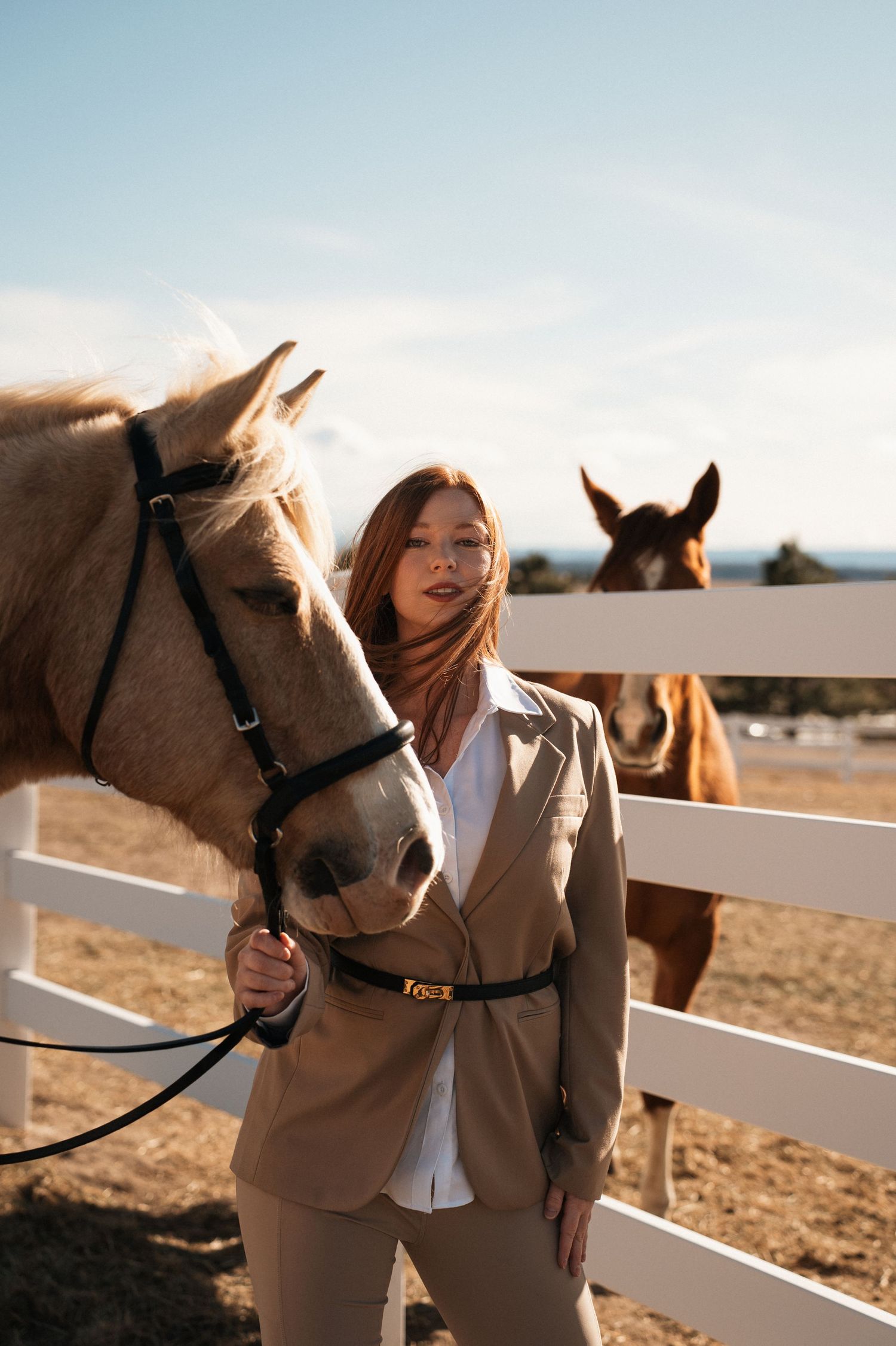 Palomino and bay horses stand by white fence while equestrian in beige suit holds lead rope on sunny day.