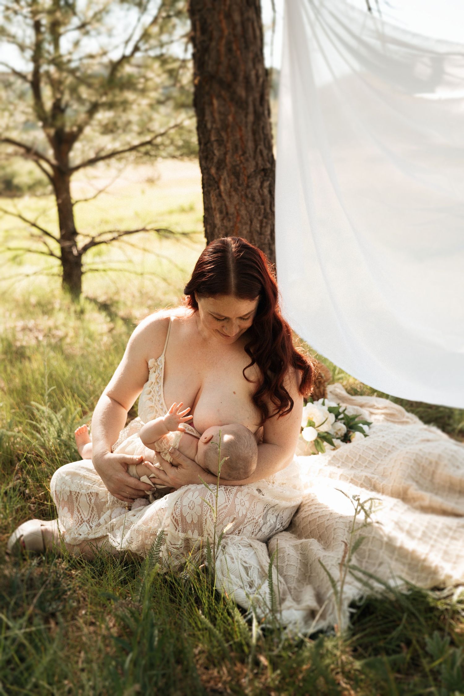 A mother breastfeeding her baby in a natural outdoor setting with pine trees and soft white fabric creating a dreamy scene.