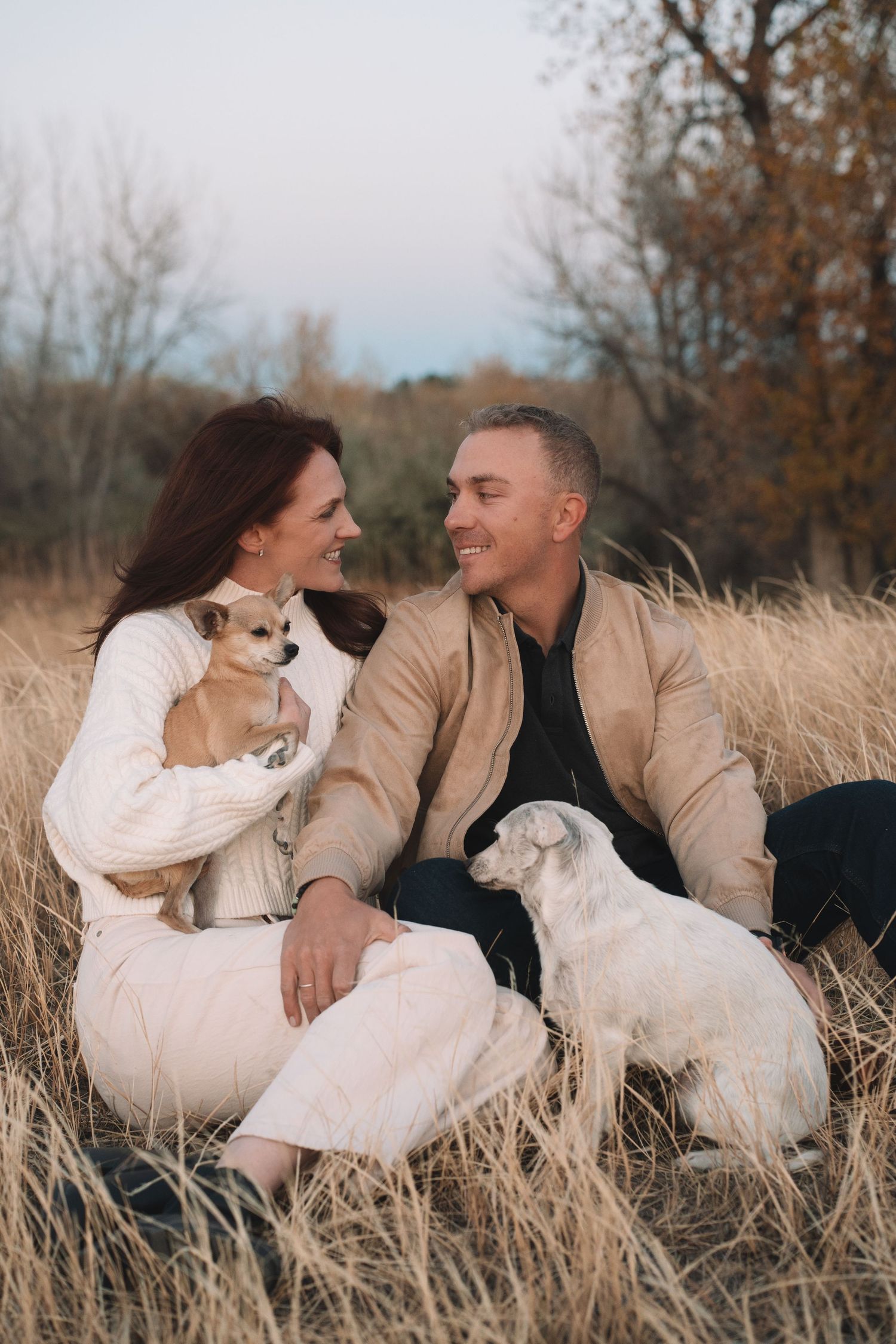 A couple sits with their two small dogs in a field of tall grass during sunset.