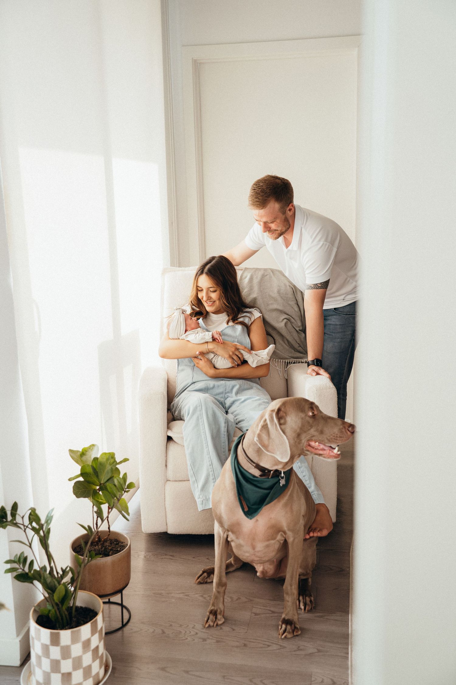A family spending quality time together on a couch with their Weimaraner dog while potted plants decorate the room.