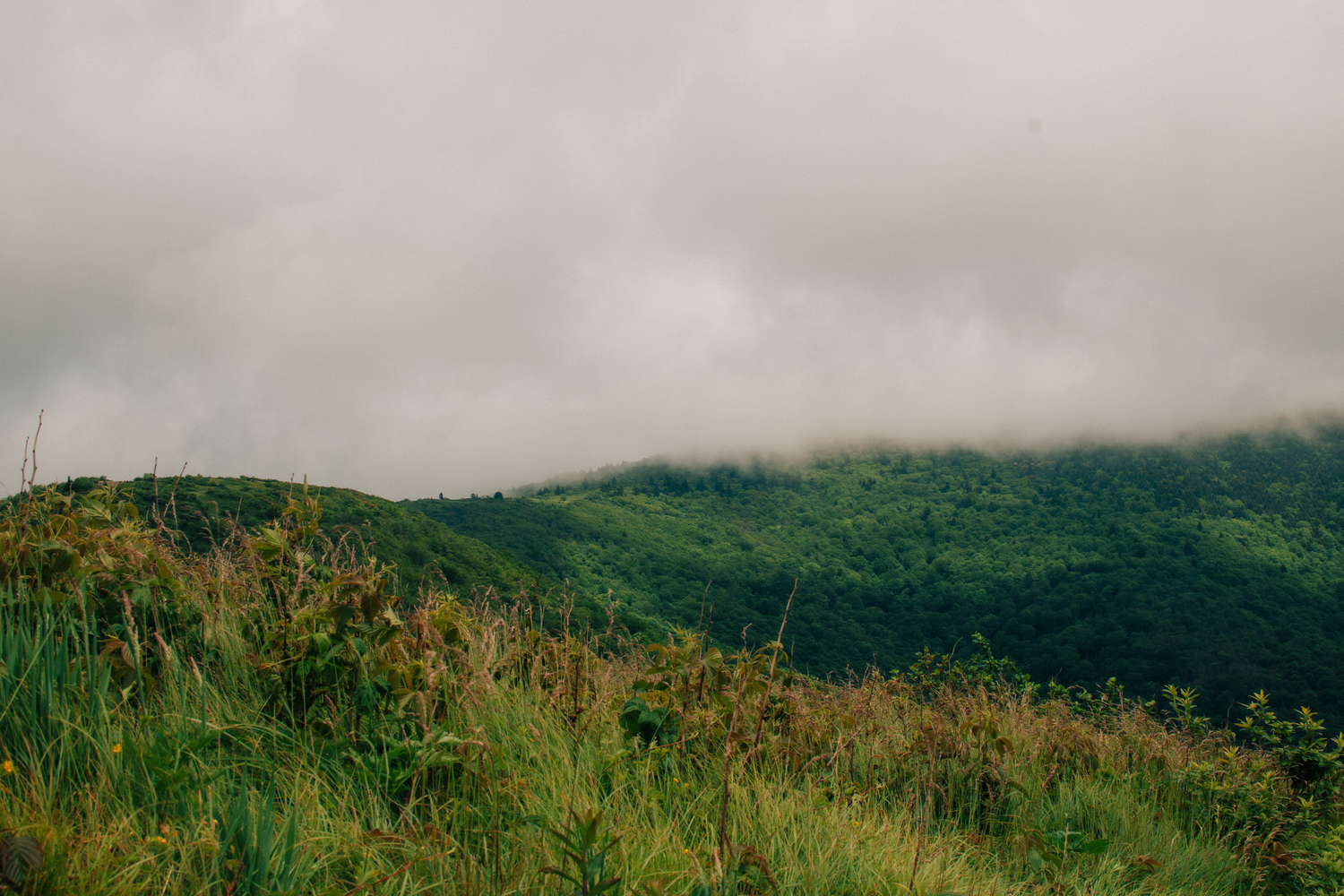 Cloudy day at roan
