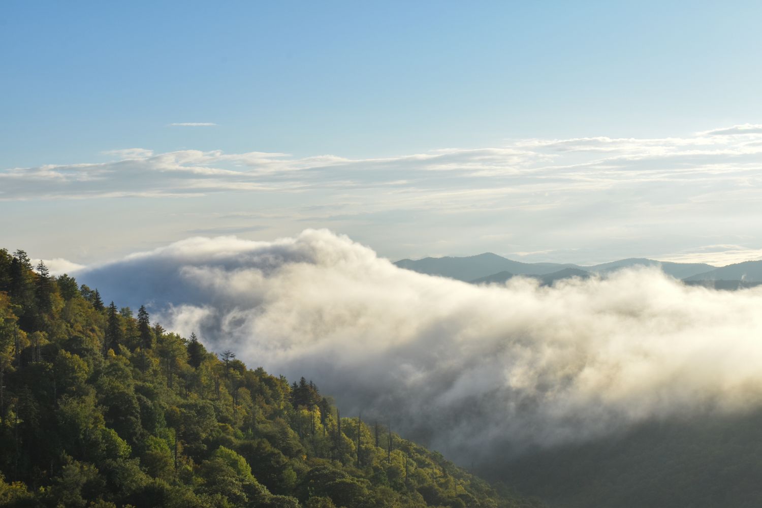 East Fork Overlook, Blue Ridge Parkway, NC.