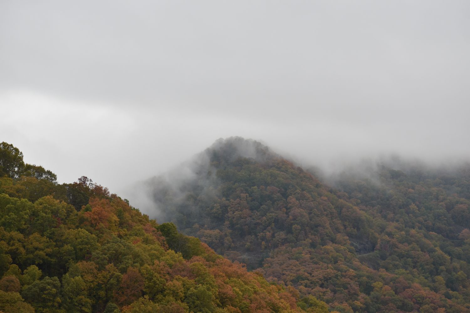 Mountains in fog