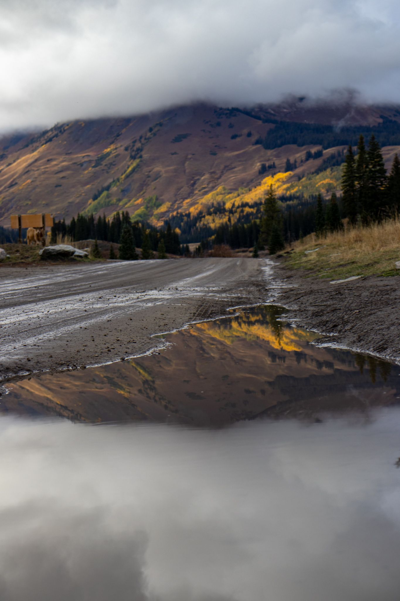 Mountains Reflecting in Puddle, Gothic Road, Crested butte, Colorado