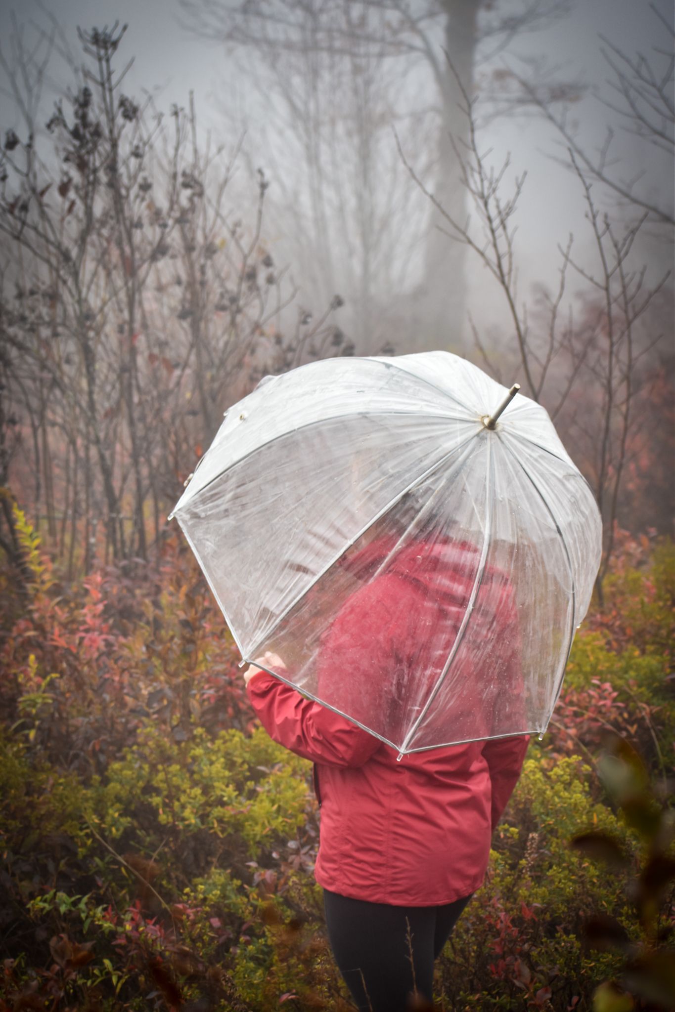 Cloudy day at Graveyard Fields