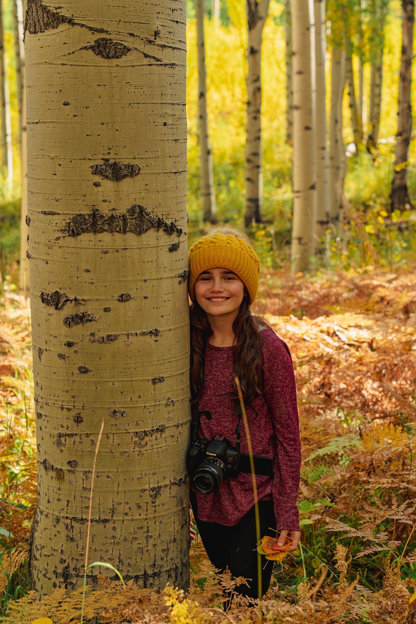 Photos of Norah