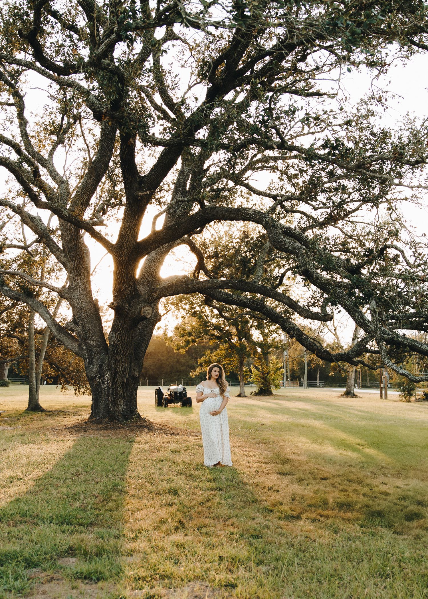 Pregnant woman in white dress stands beneath sprawling oak tree at sunset in park.