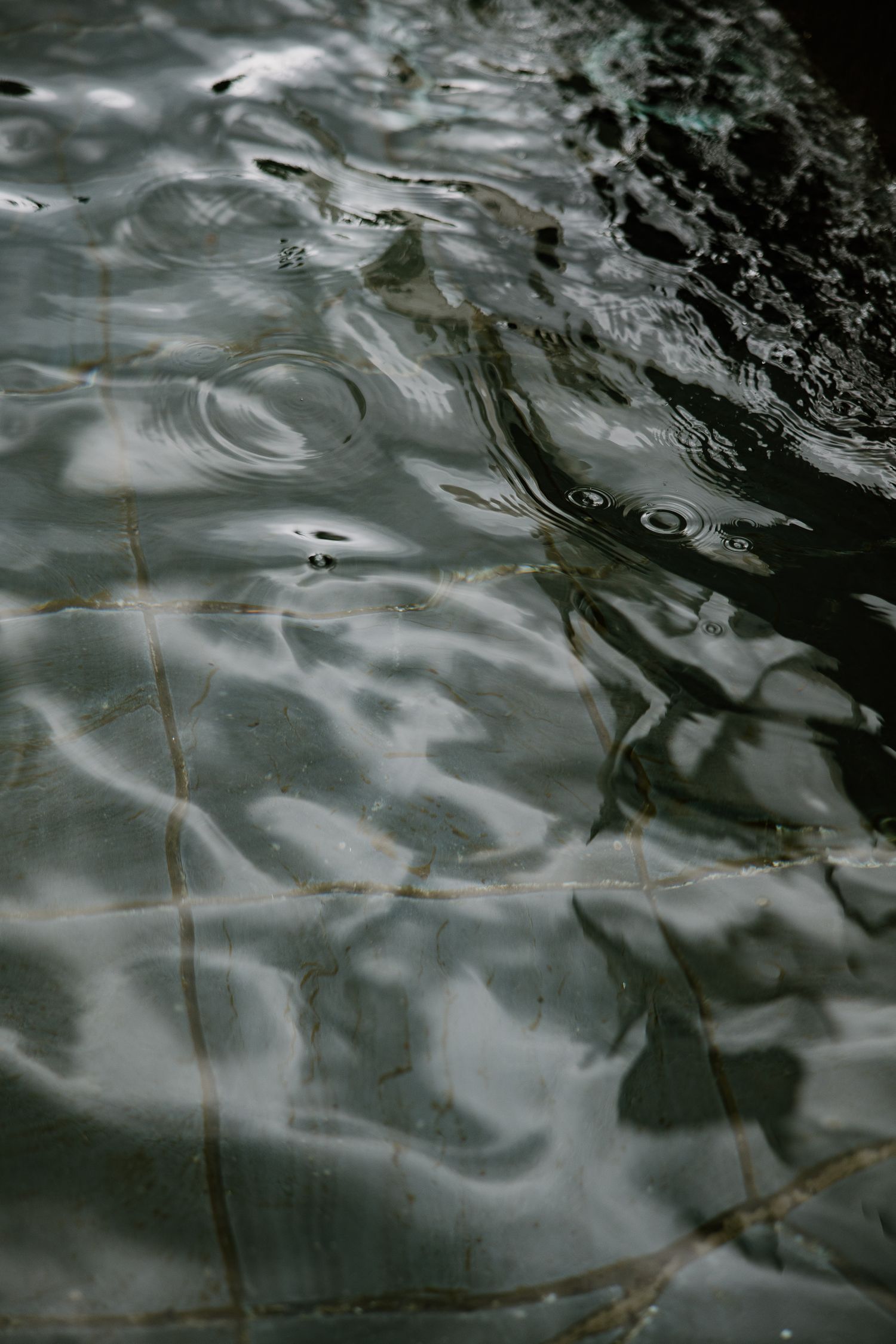 Rippling water surface over tiled pool floor with circular rain droplets creating gentle waves and reflections.