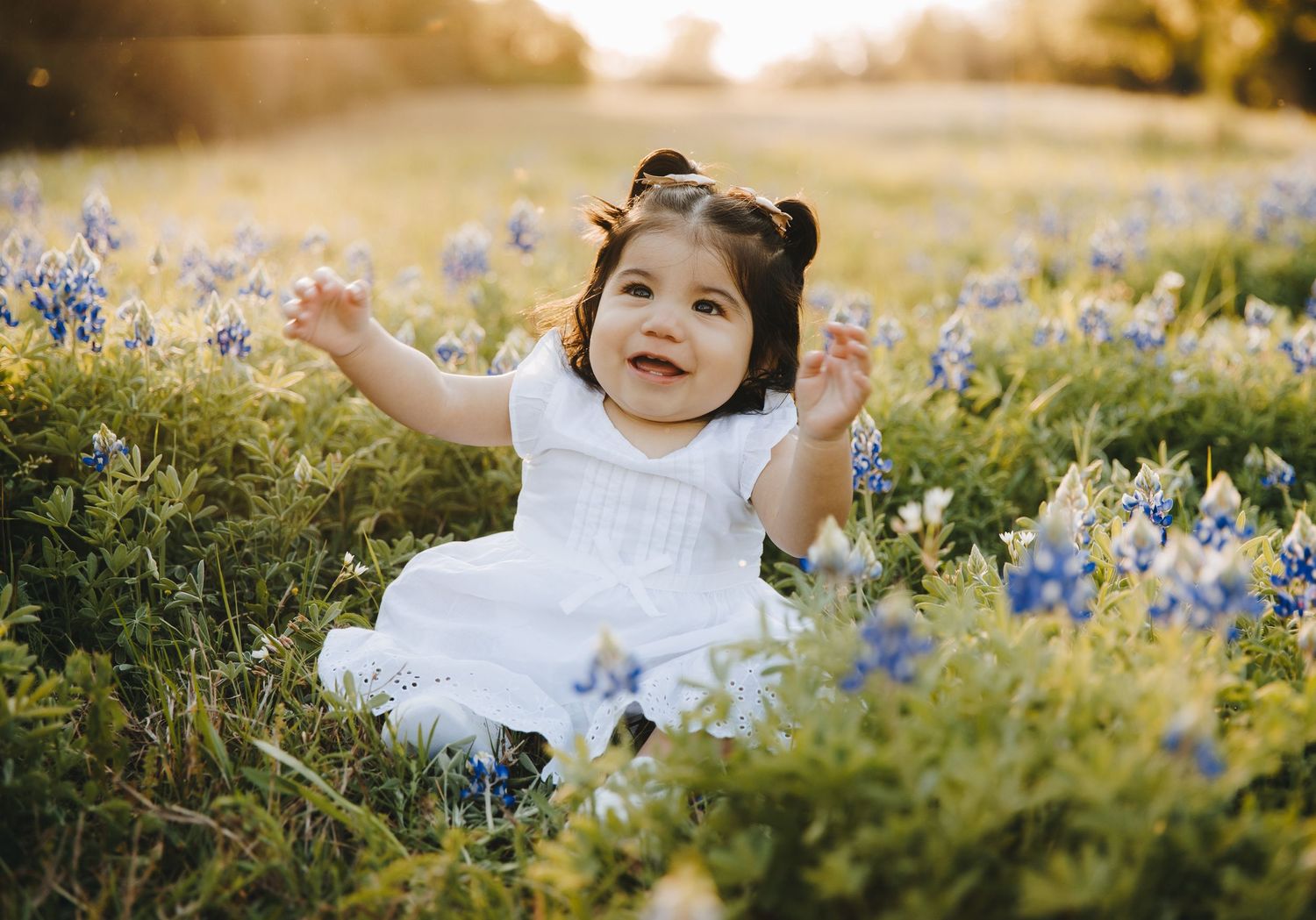 Happy toddler girl in white dress sitting in bluebonnet wildflower field with arms raised.