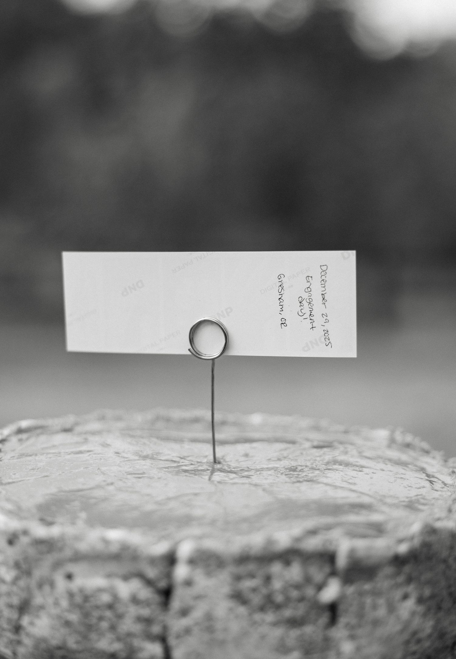 Black and white close-up of handwritten wedding date card displayed in wire holder on rustic wood stump.