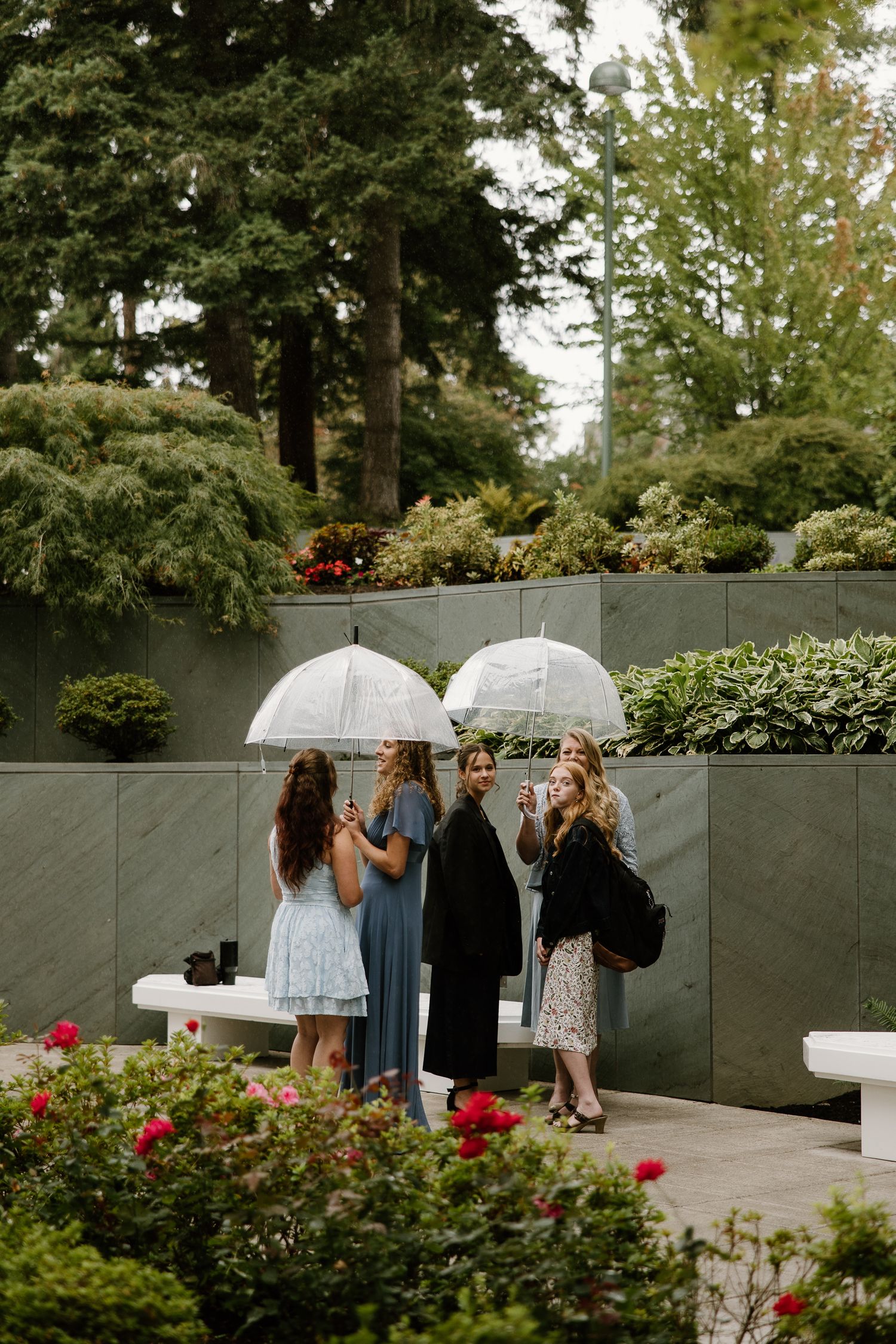 Four women holding clear umbrellas chat in a garden surrounded by lush greenery and red roses.