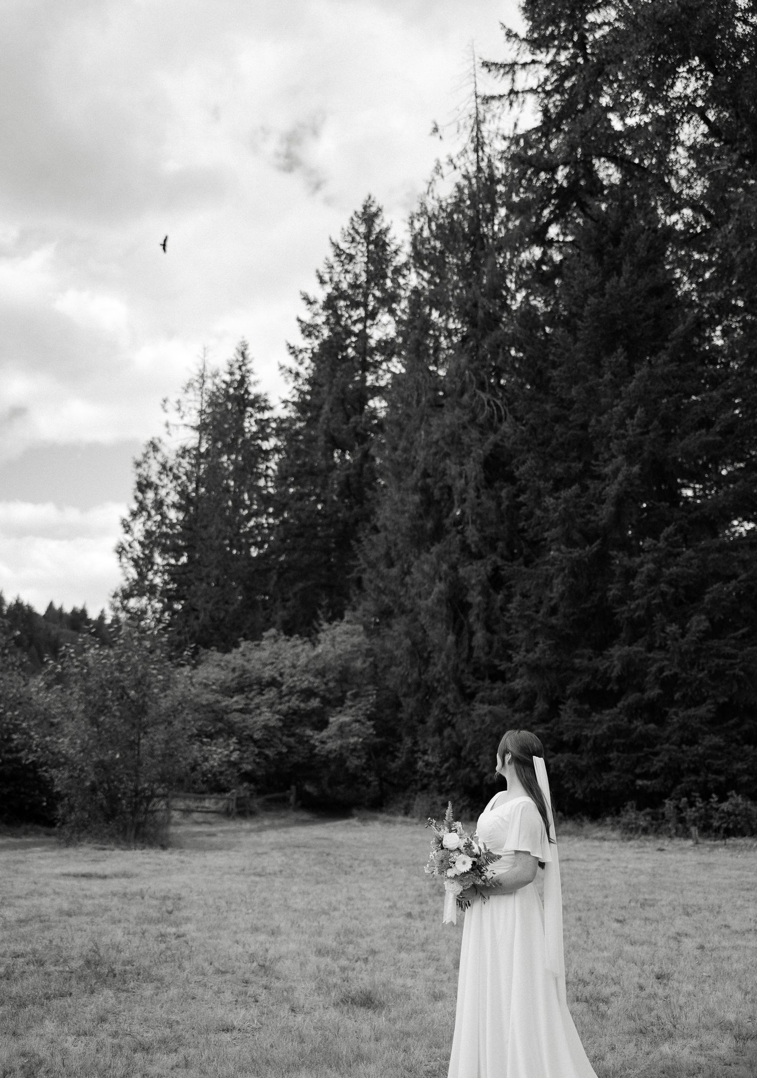 Black and white photo of bride in white gown holding bouquet gazing at tall evergreen trees.