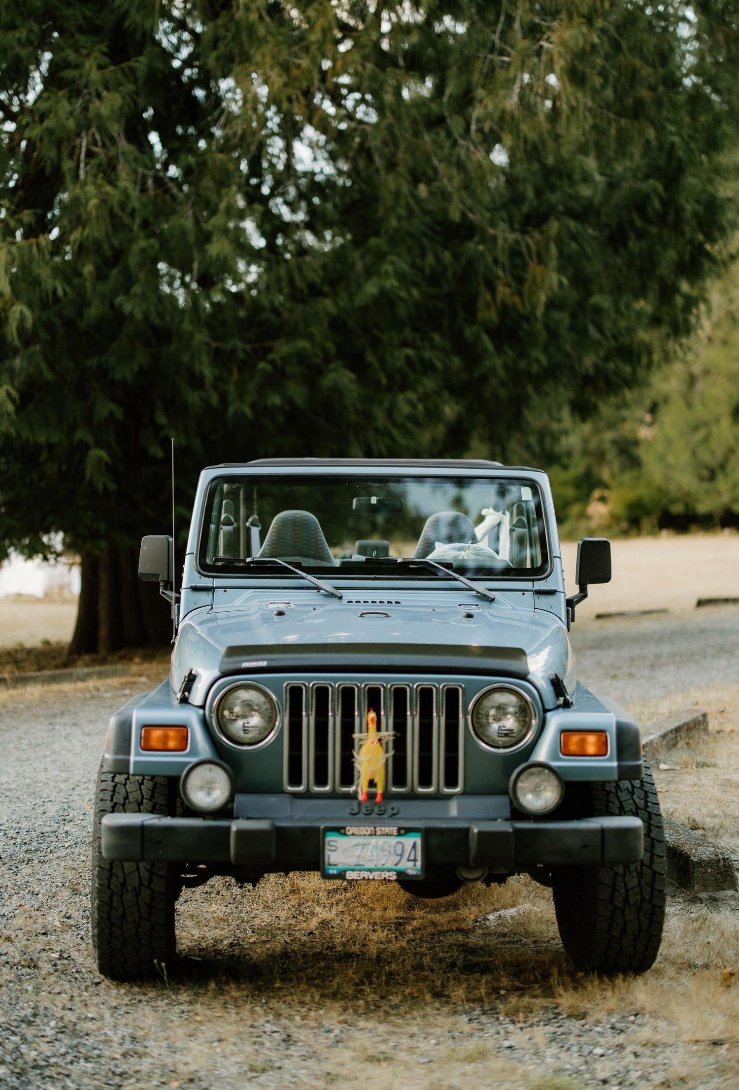 Front view of a classic blue Jeep Wrangler parked on a gravel path surrounded by tall green trees.
