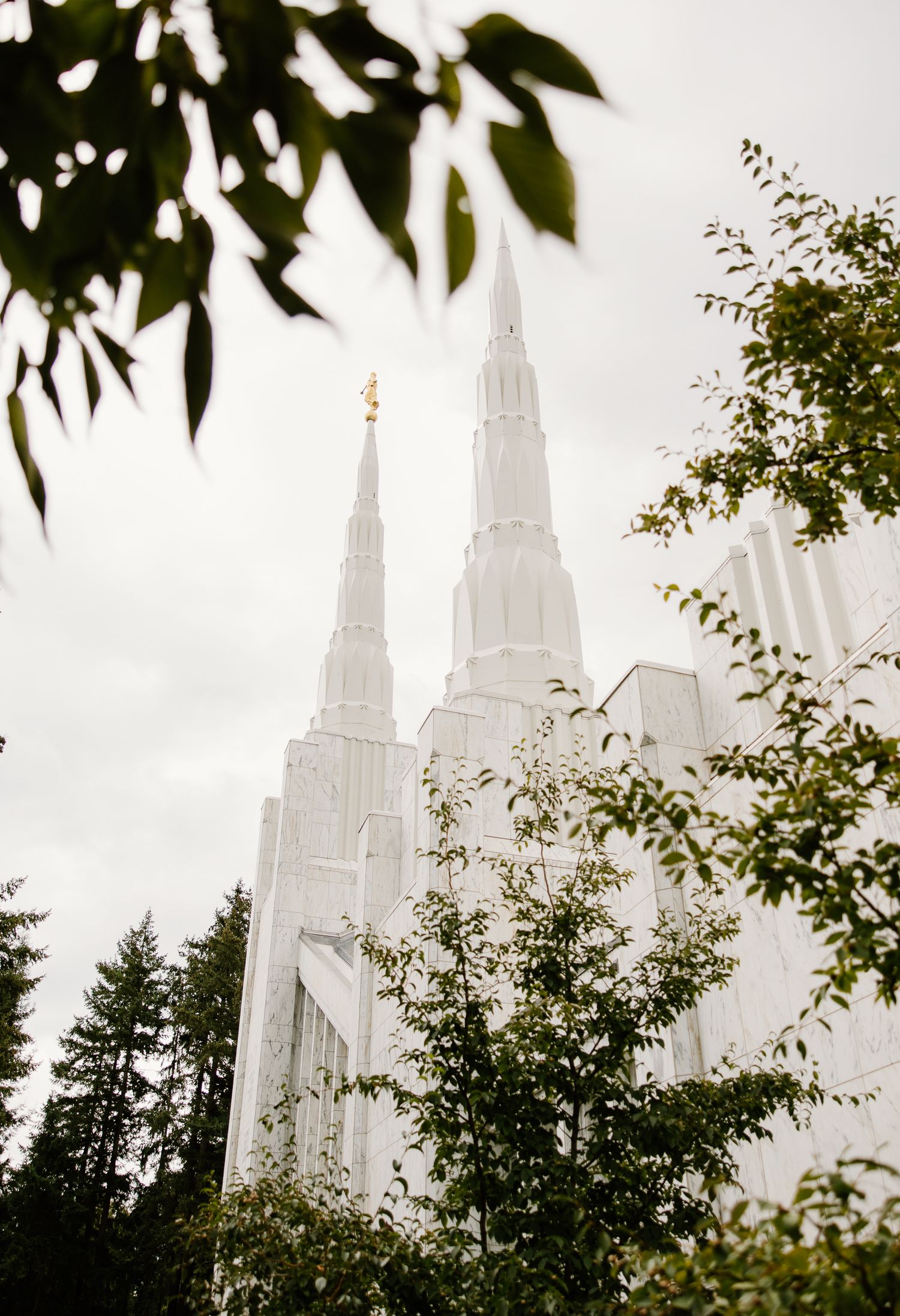 White LDS temple spires rise above lush green trees against an overcast sky.