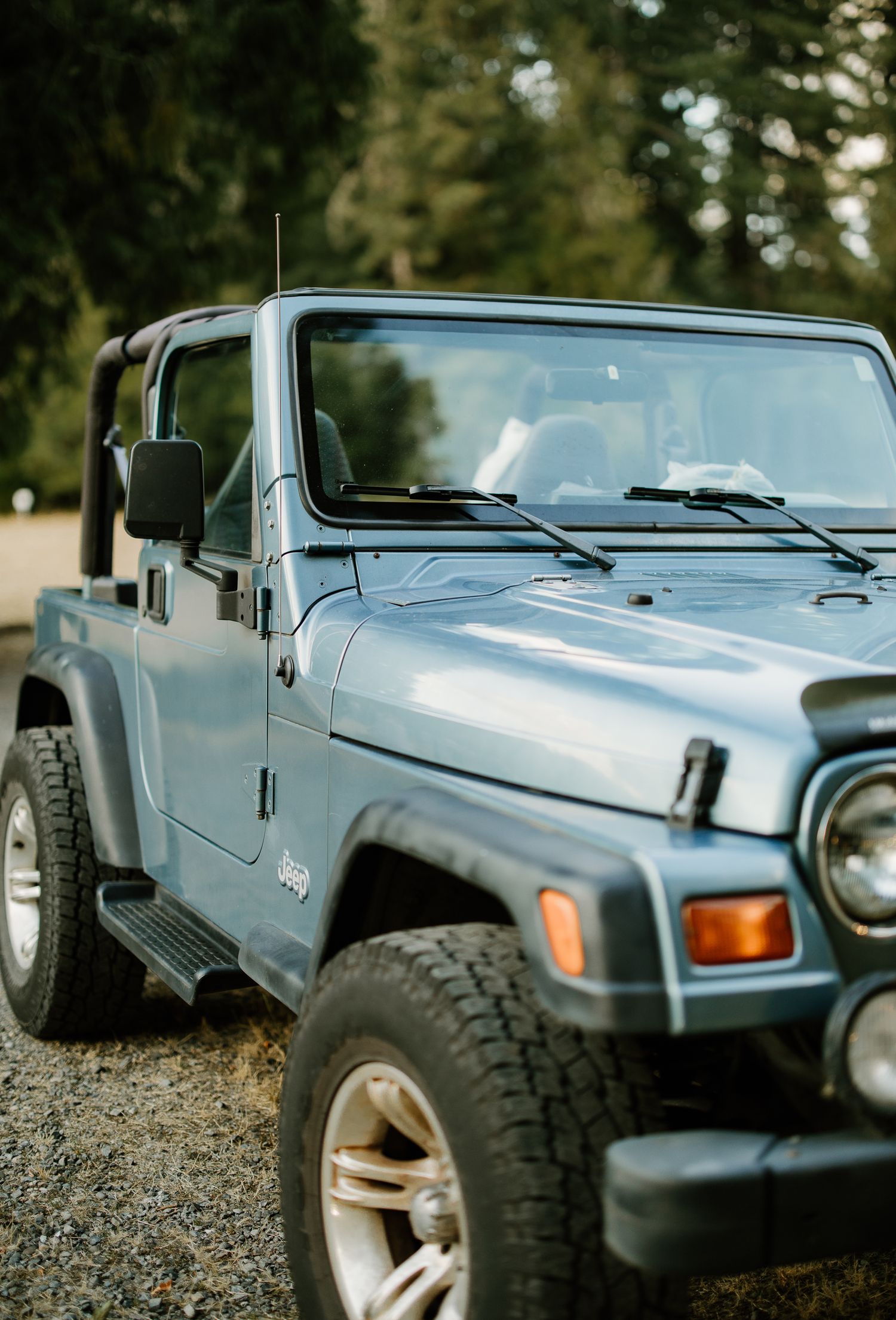 Side angle close-up of a blue Jeep Wrangler on a gravel surface with lush evergreen trees behind it.