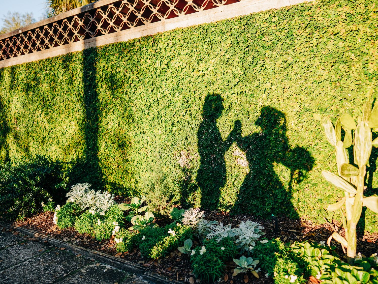 Couple silhouettes cast on a hedge wall at Bok Tower Gardens in Lake Wales, Florida engagement photography