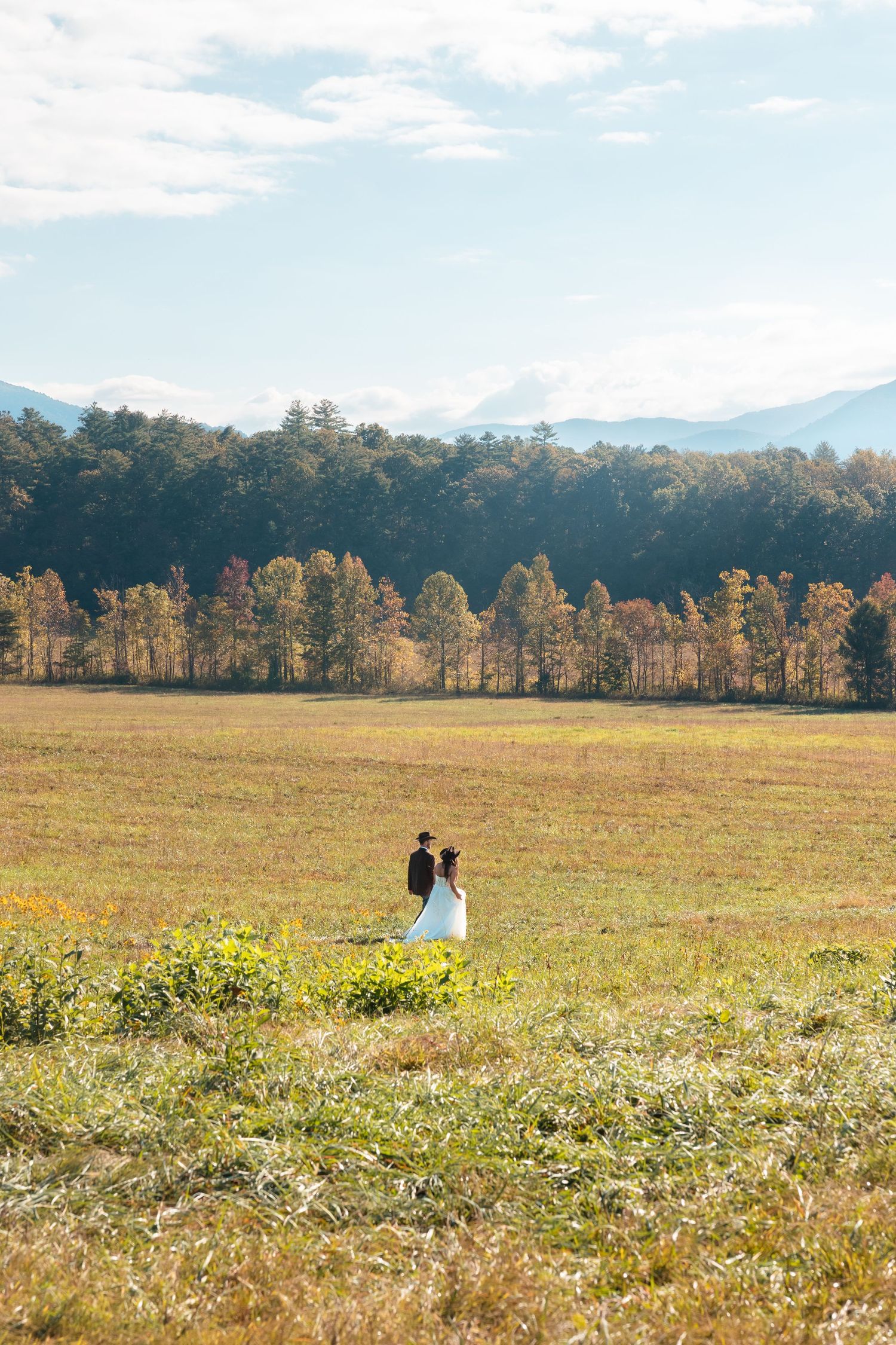 Scenic mountain meadow with wildflowers and distant treeline on a bright sunny day.