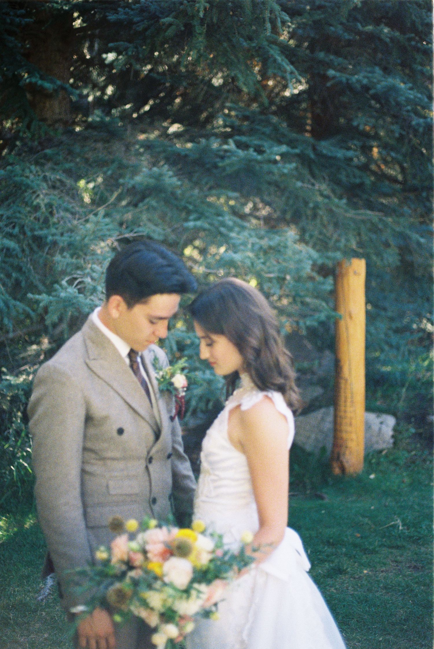 An intimate wedding moment captured in front of evergreen trees with a wooden post in the background.