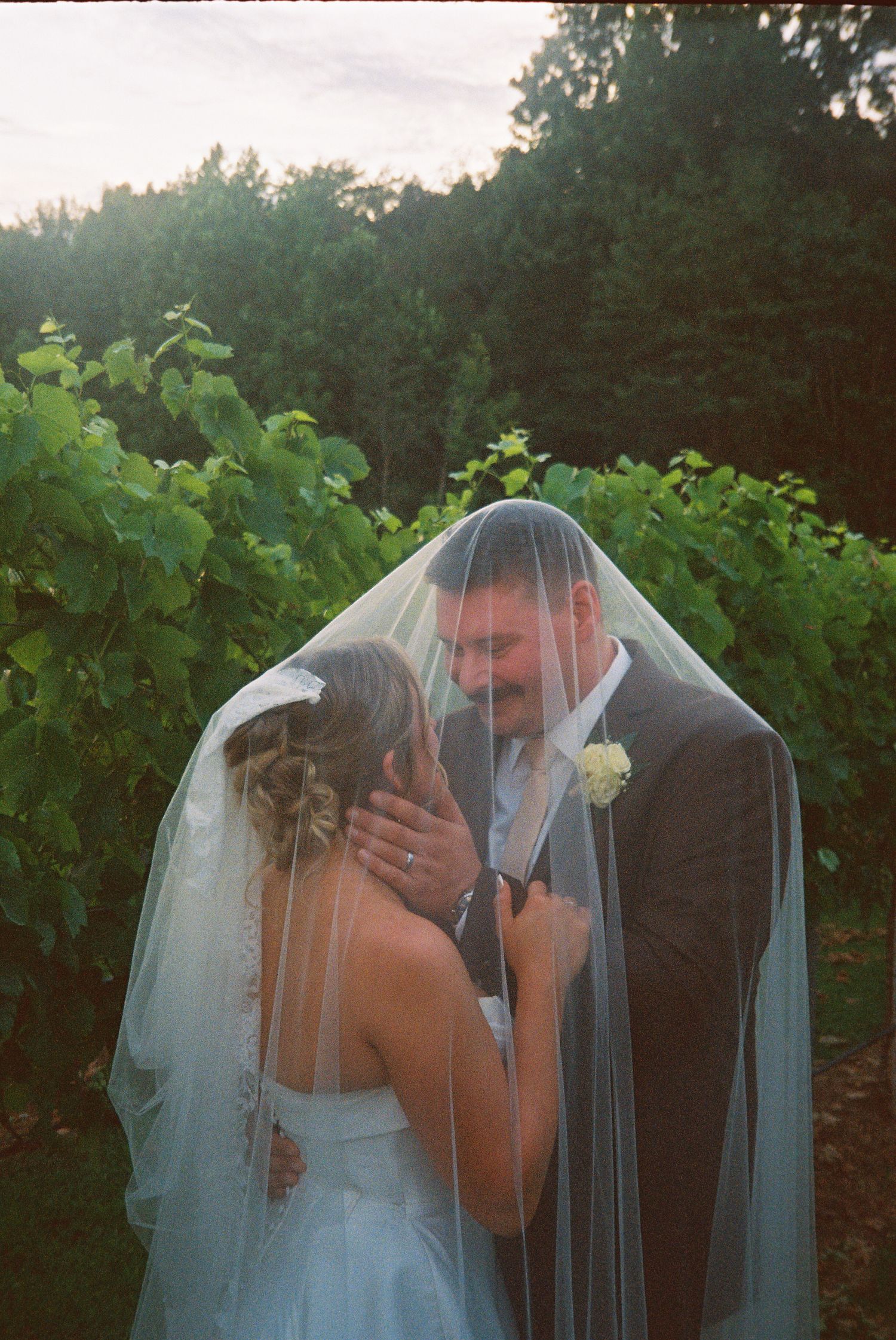 A sequence of wedding photos capturing intimate moments between newlyweds among vineyard rows at sunset.
