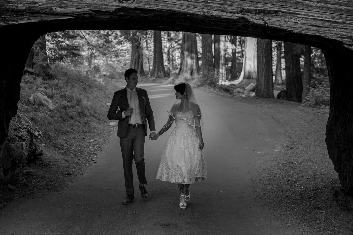 A black and white wedding photo of a couple walking under a fallen tree tunnel.