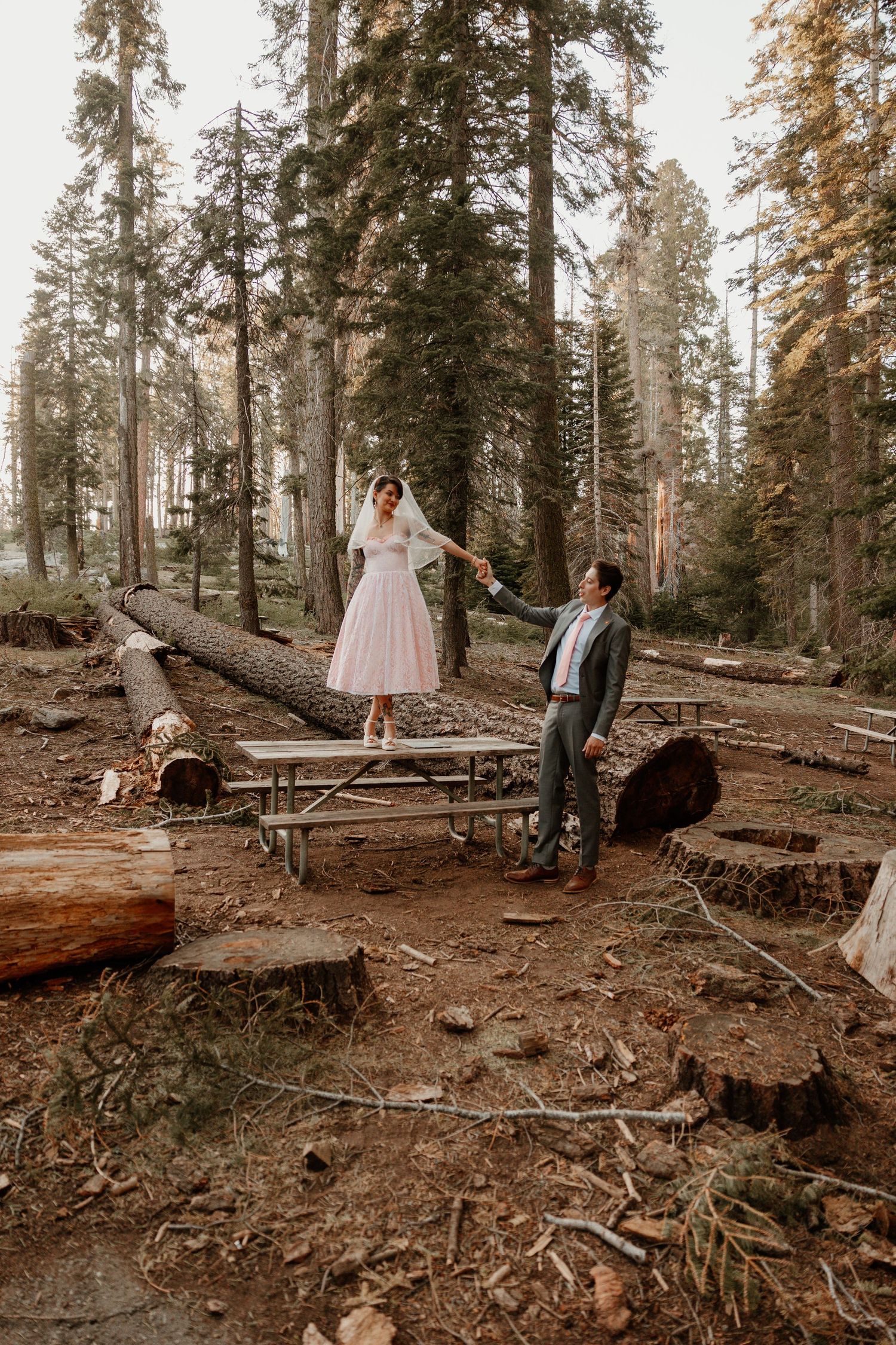 Wedding couple poses on fallen logs in a rustic forest setting surrounded by tall pine trees.
