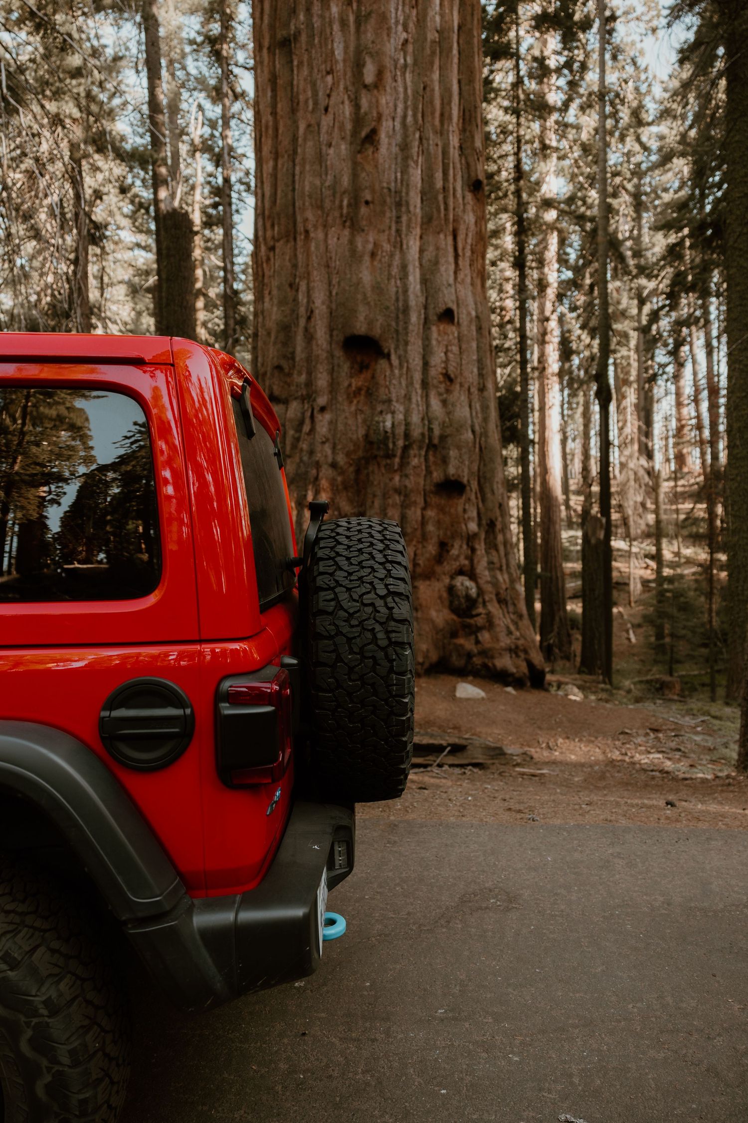A red Jeep parked next to towering redwood trees in a forest.