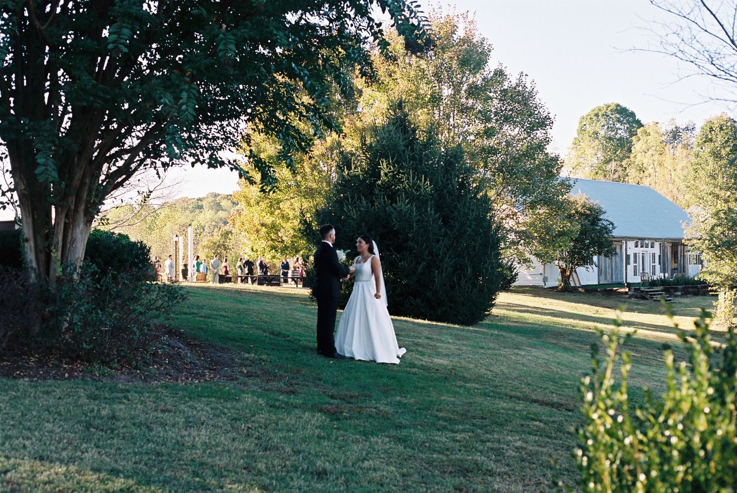 Serene outdoor wedding venue with rolling green hills and trees in late afternoon light.
