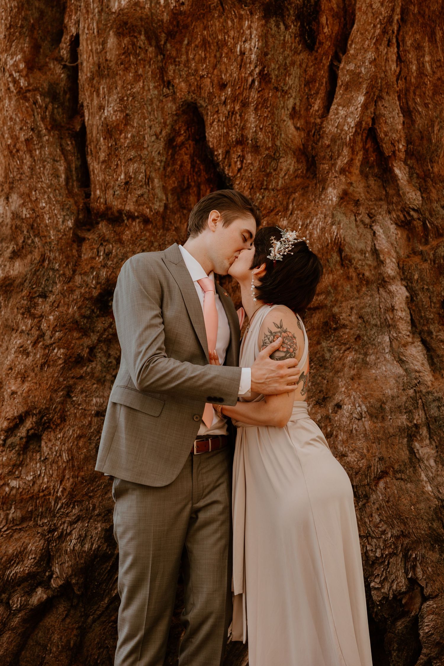 A romantic embrace between newlyweds in front of a massive redwood tree.
