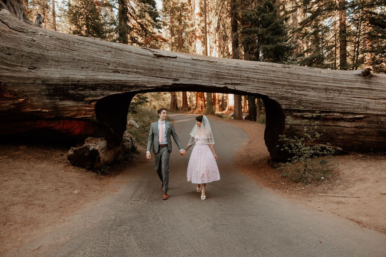 A historic wooden tunnel log lying across a forested path in a national park.