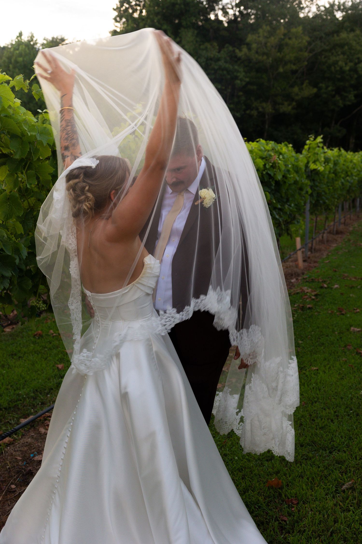 A romantic wedding couple shares a kiss in a vineyard setting, with the bride's veil flowing in the breeze.